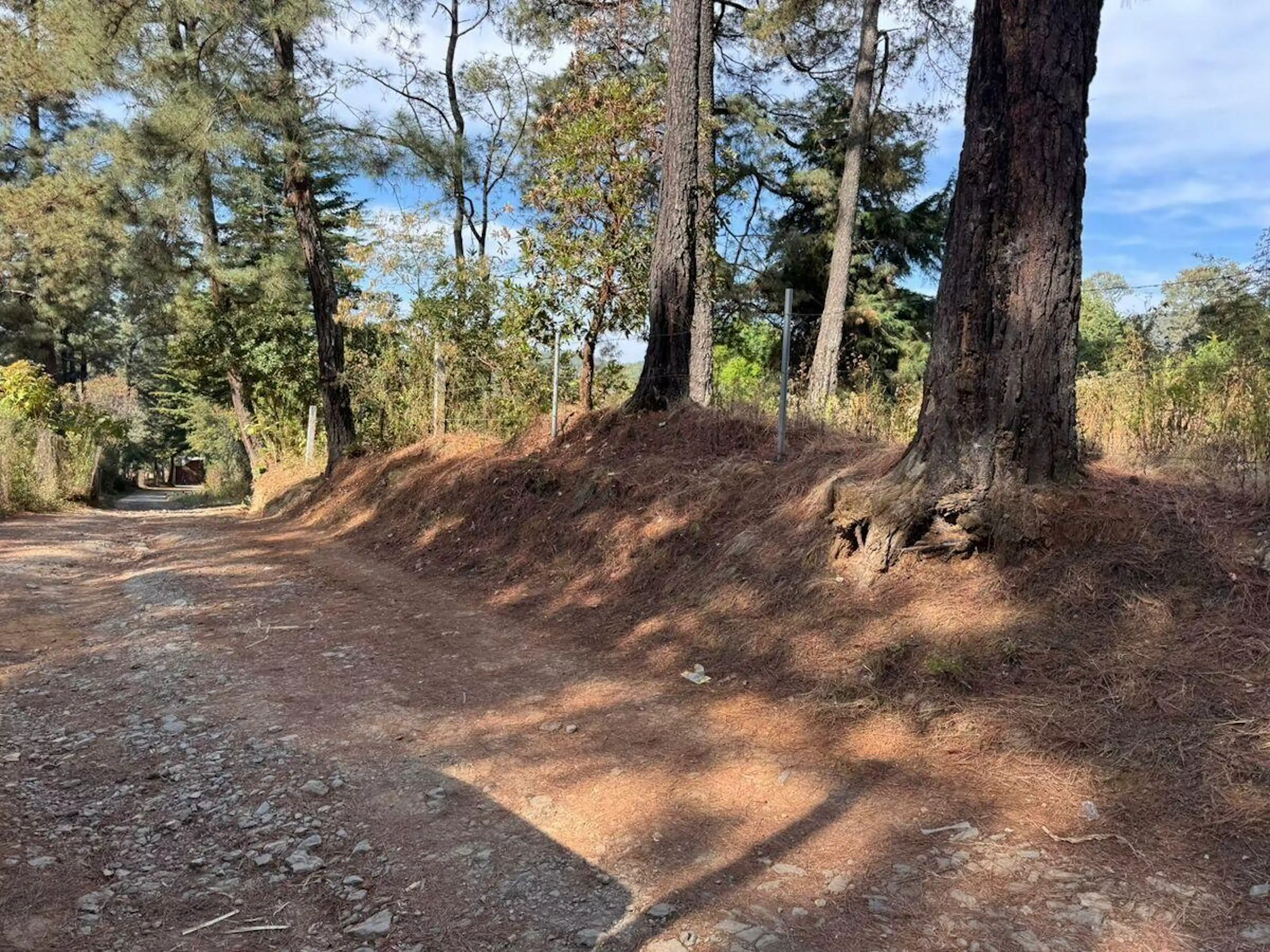 Terreno Arbolado en San Gabriel Ixtla – 400 m² a 20 min de Valle