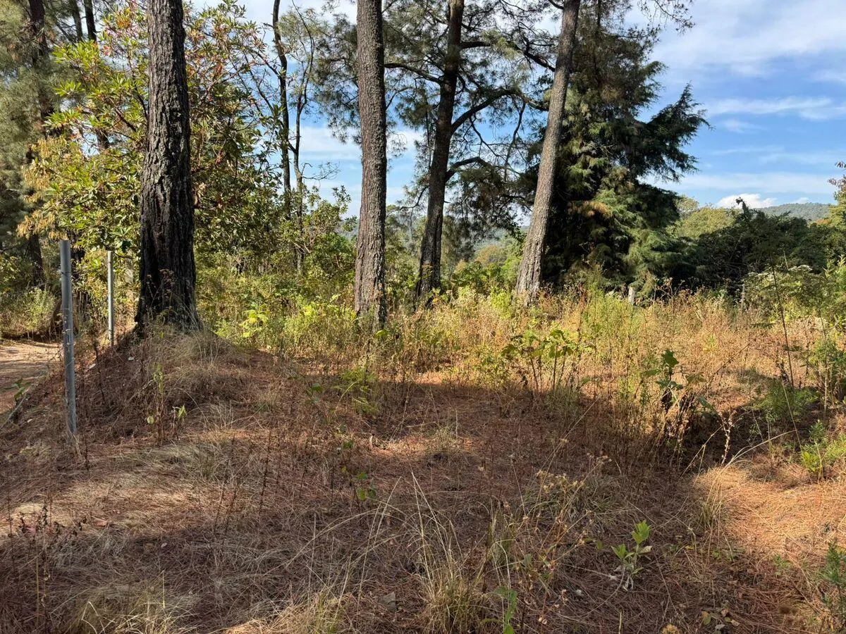 Terreno Spot2