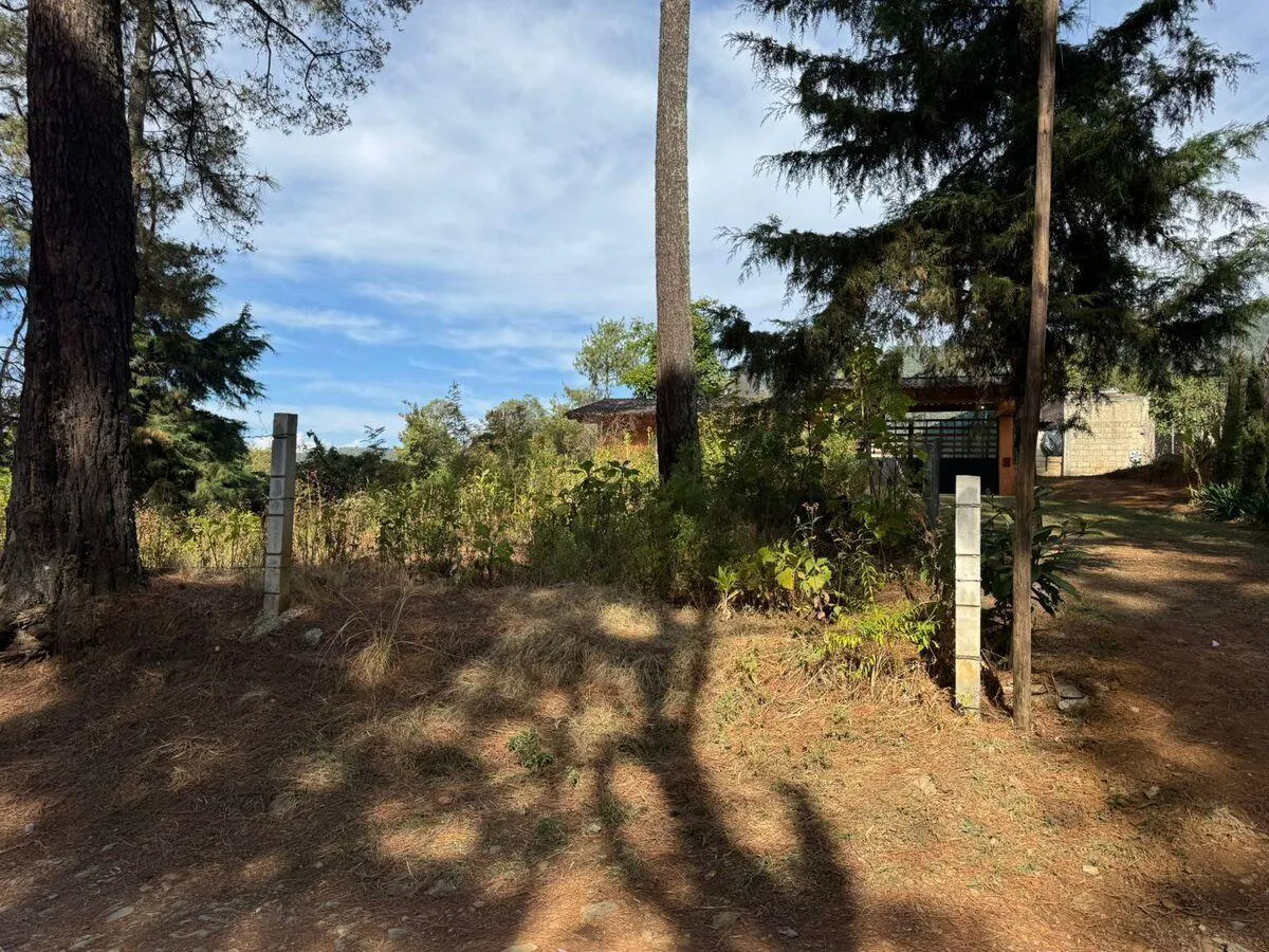 Terreno Spot2