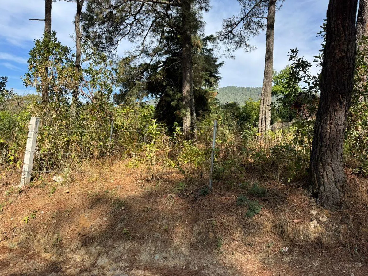 Terreno Spot2