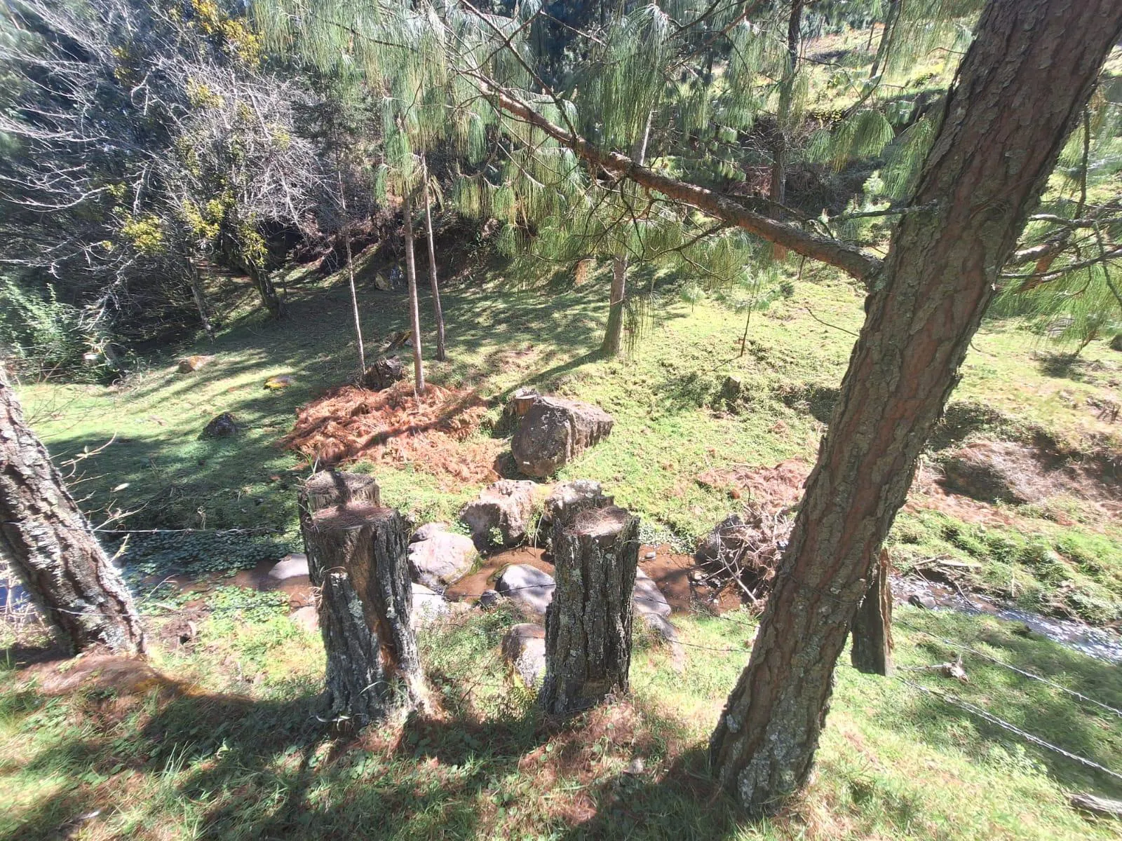 Terreno Spot2