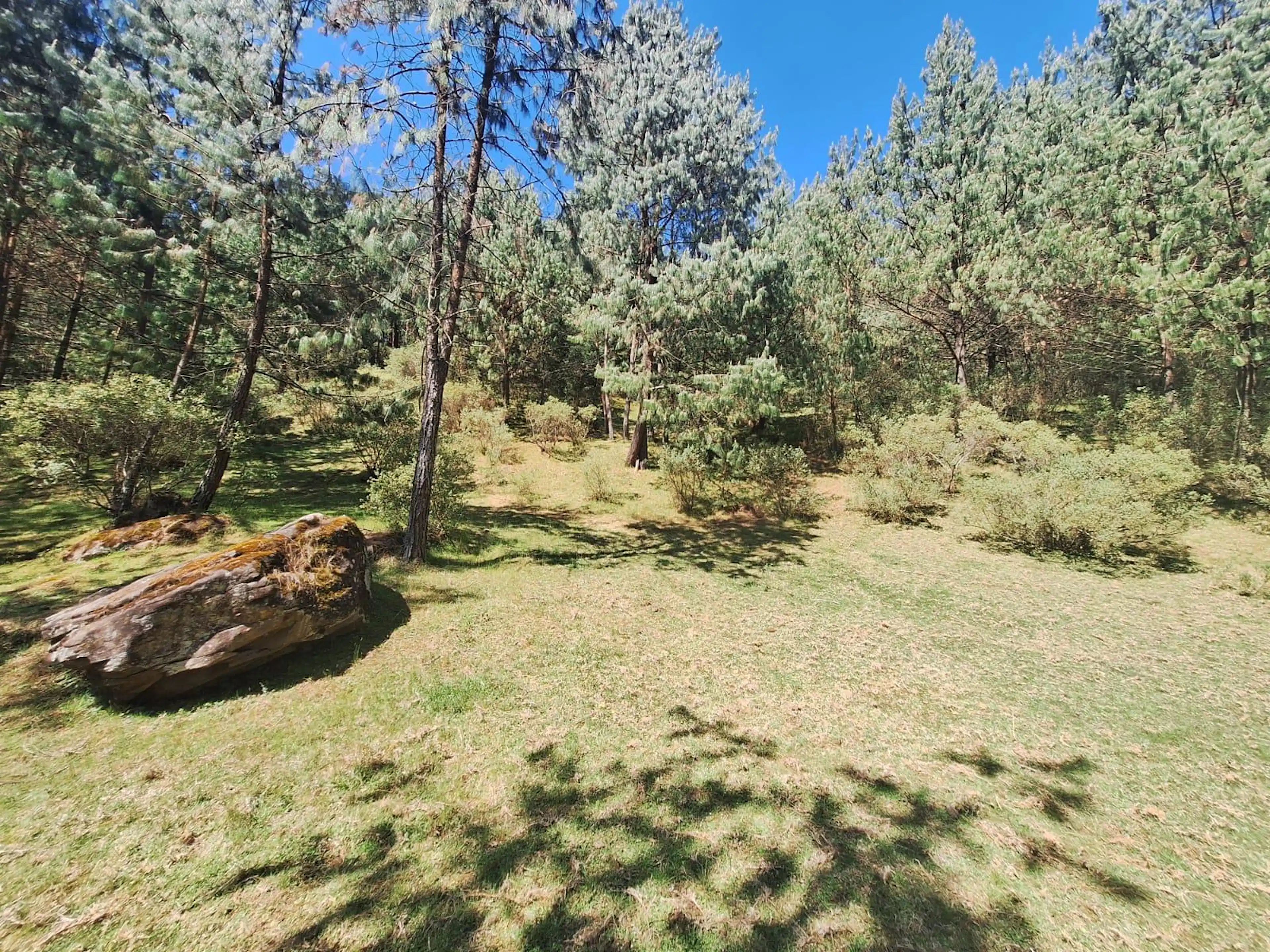 Terreno En Venta En San Isidro, Las Vigas De Ramirez, Veracruz.
