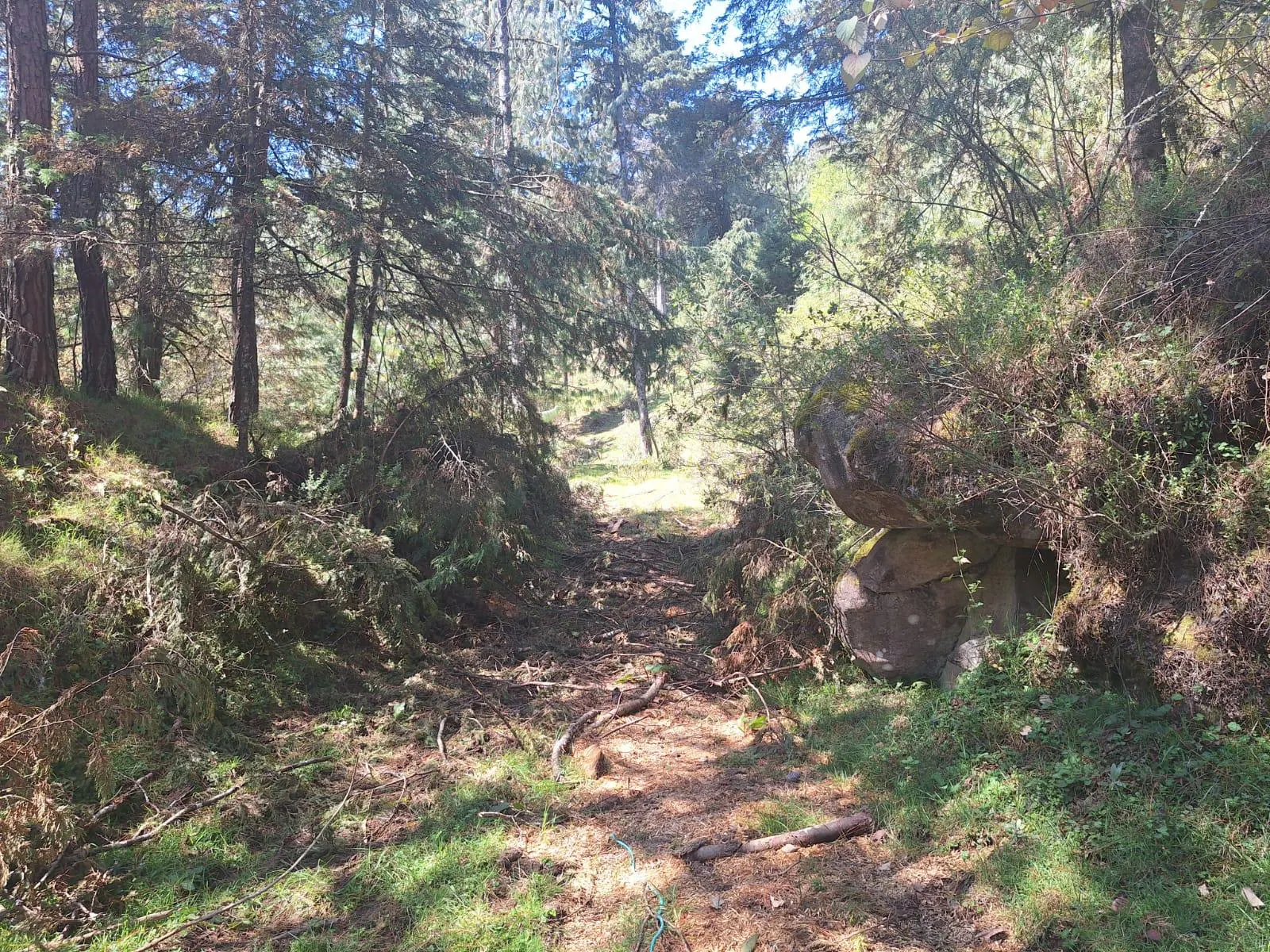 Terreno Spot2