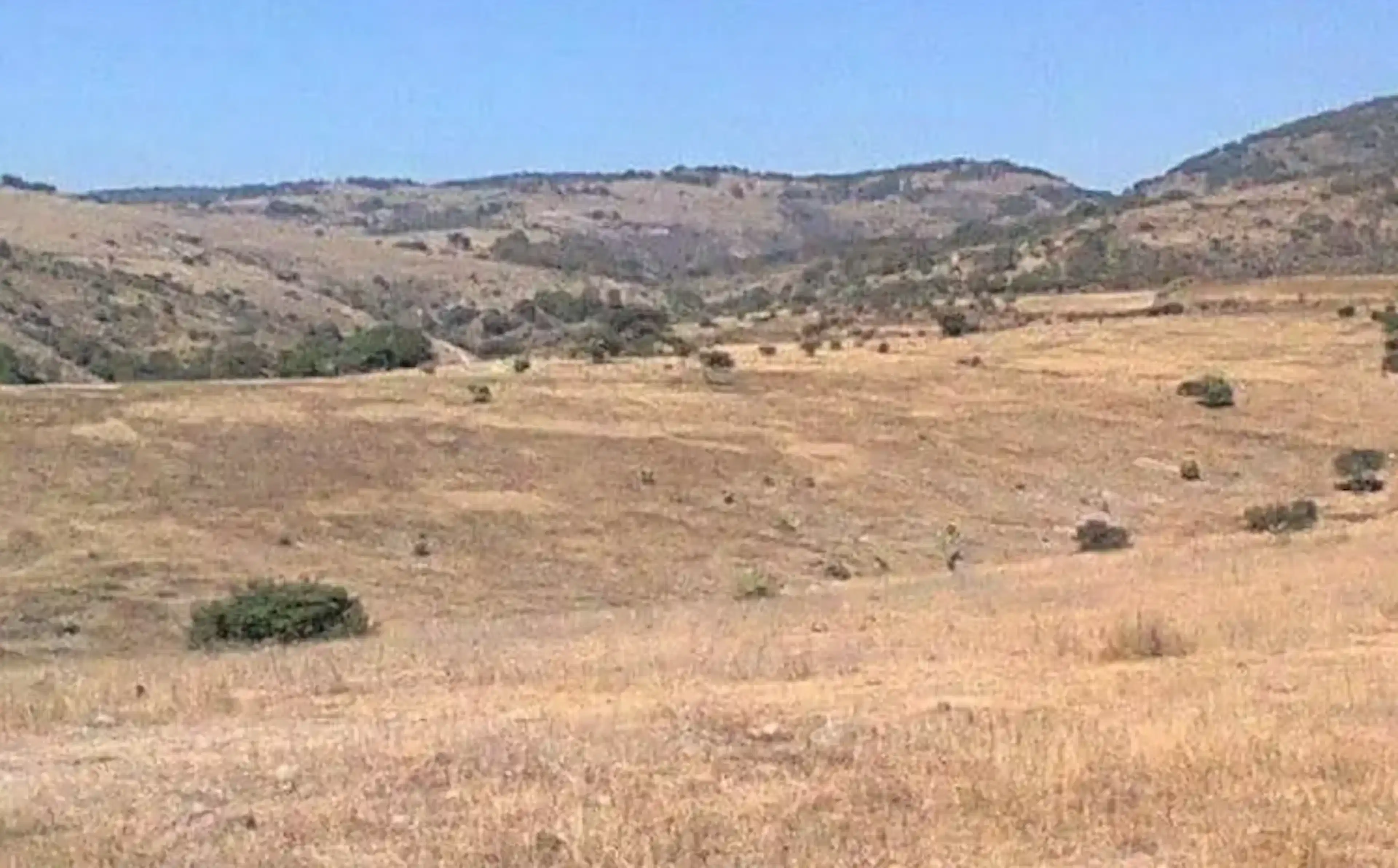 Lote 75