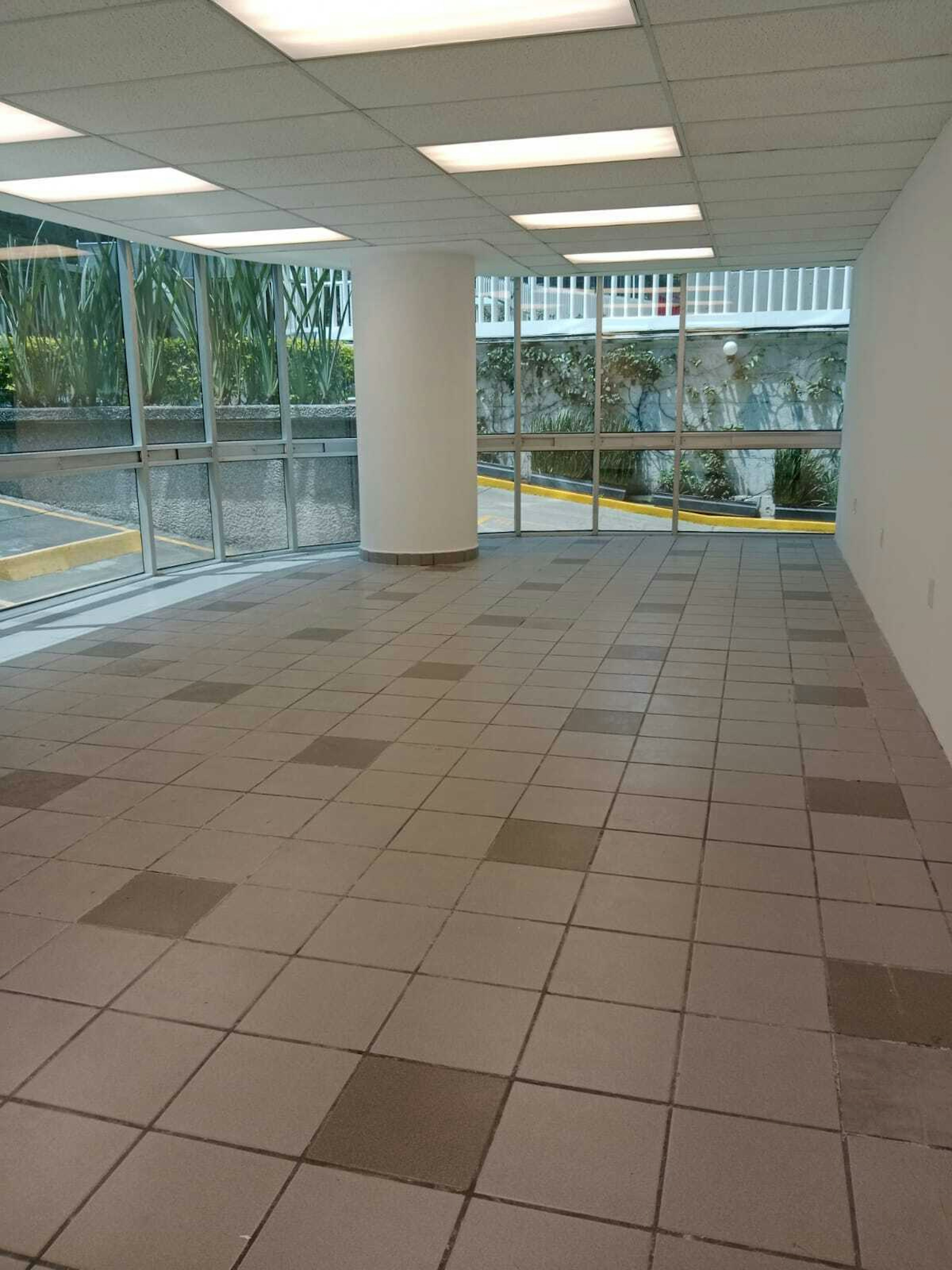 Espacio interior de un edificio con iluminación artificial, suelo de baldosas y una columna blanca. Ventanas grandes permiten la entrada de luz natural y muestran vegetación exterior.