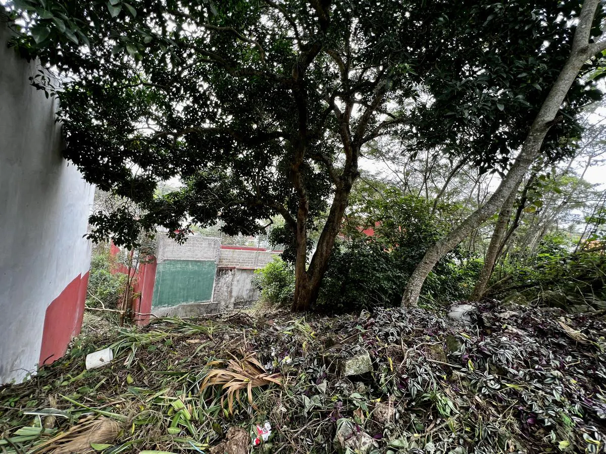 Terreno Spot2