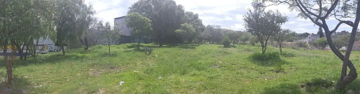 Terreno Spot2