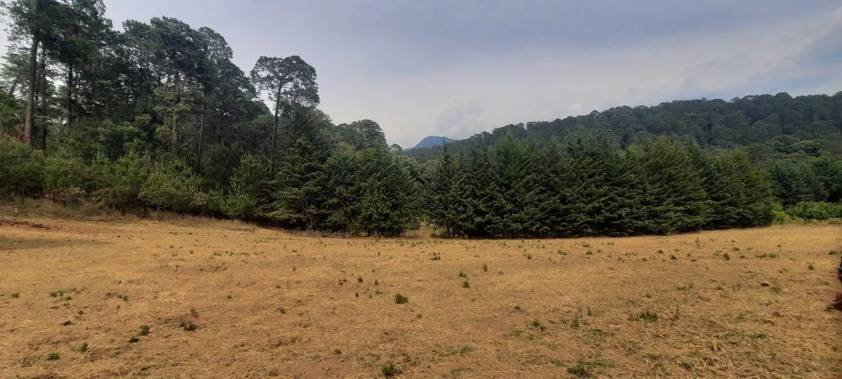 Terreno Spot2