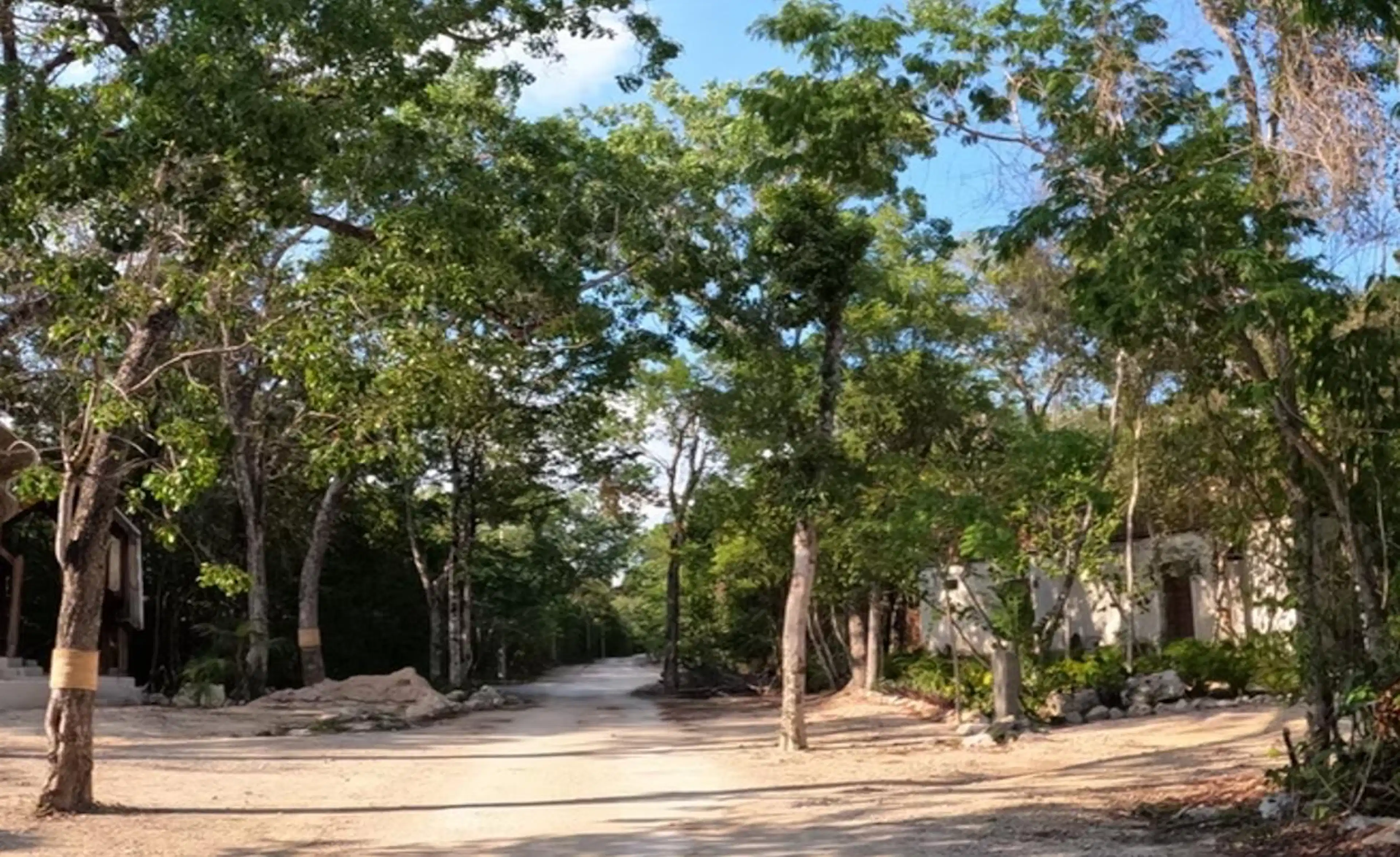 Terreno En Venta Ubicado En Chemuyil, Aldea Coral. C3962