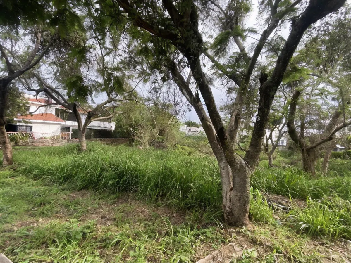 Terreno Spot2