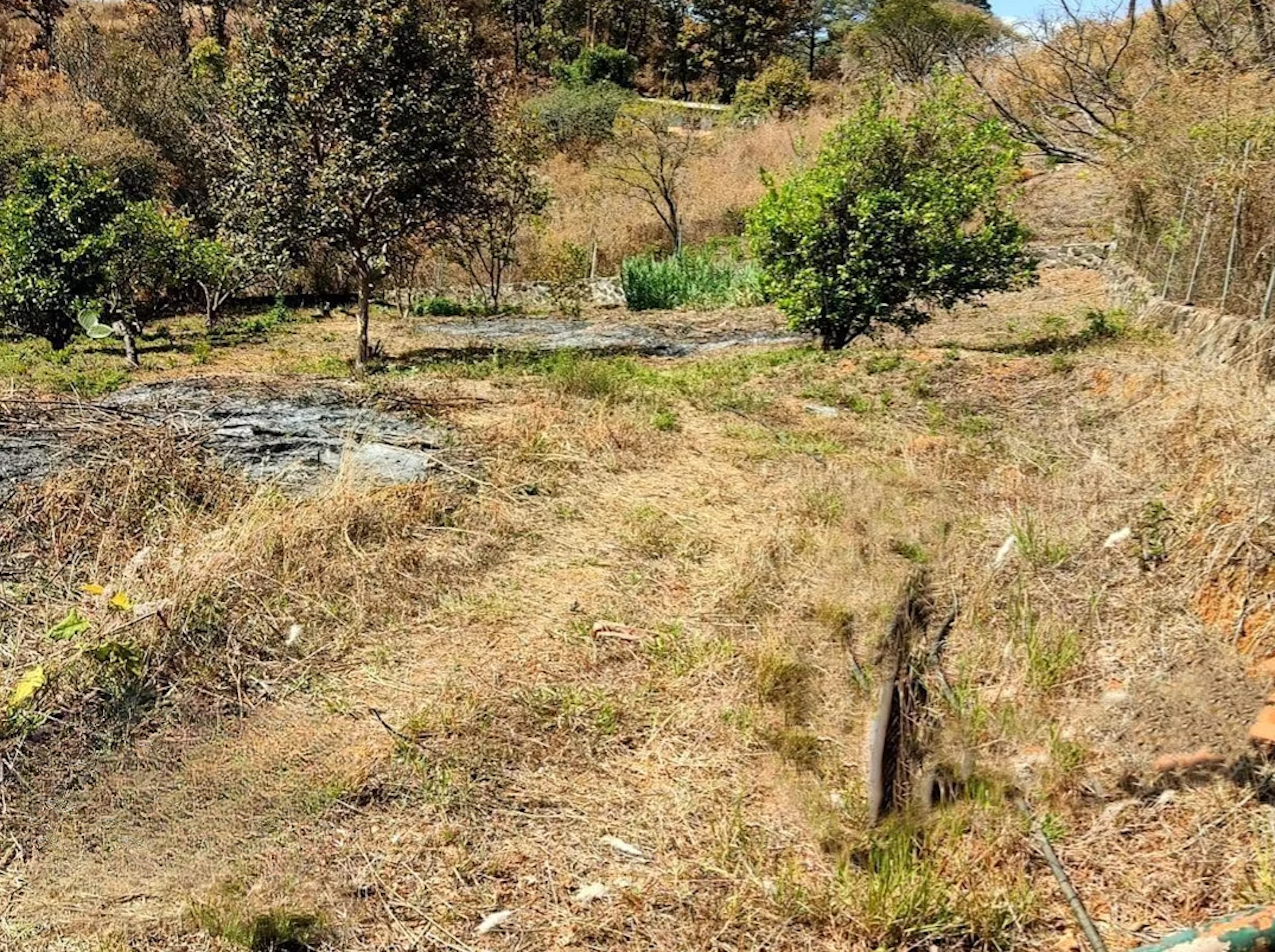 Terreno Spot2