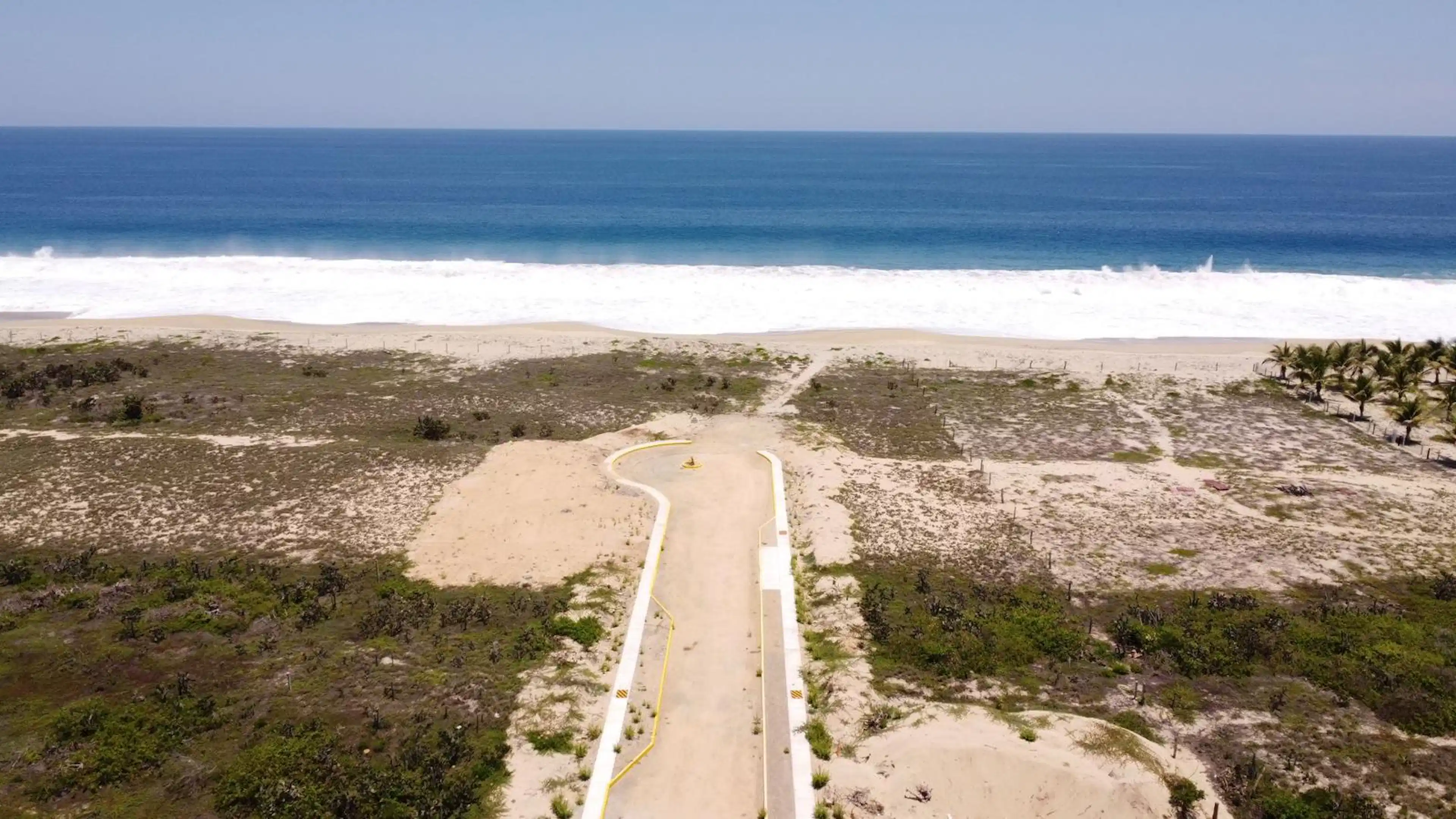 BIOTERRA - PUERTO ESCONDIDO
