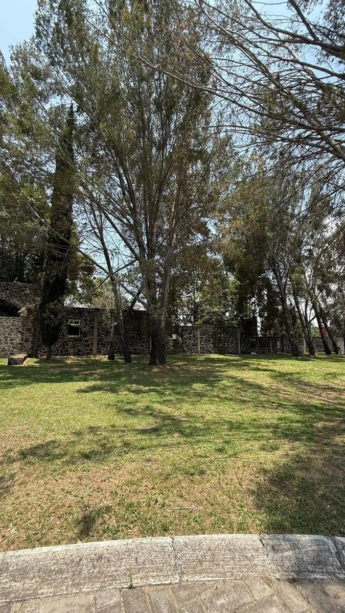 Terreno Spot2