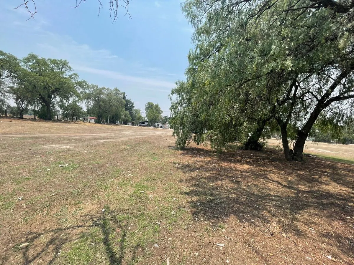 Terreno Spot2