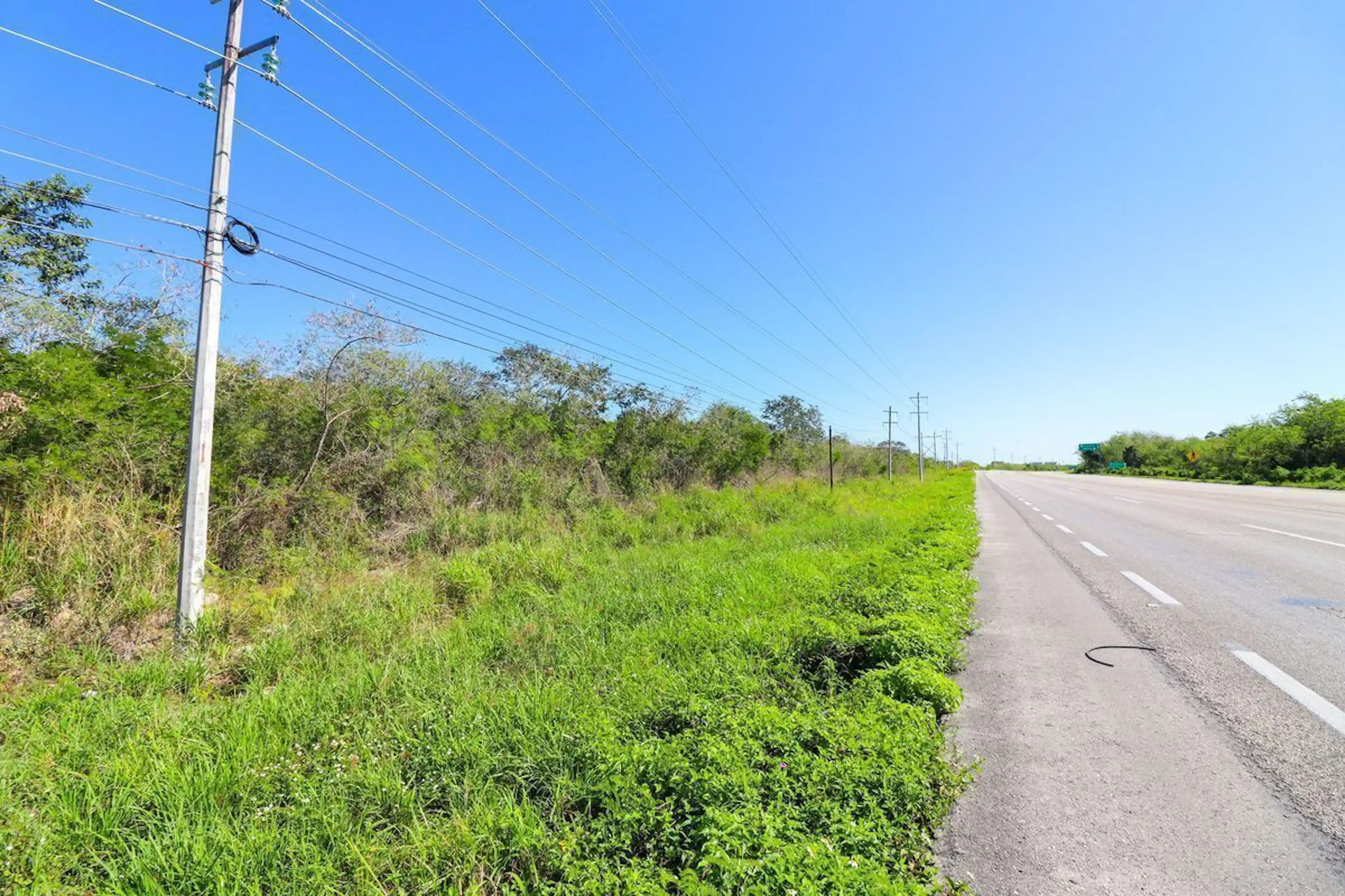 Terreno En Venta De 10 Hectáreas Sobre Carretera Motul - Mérida.