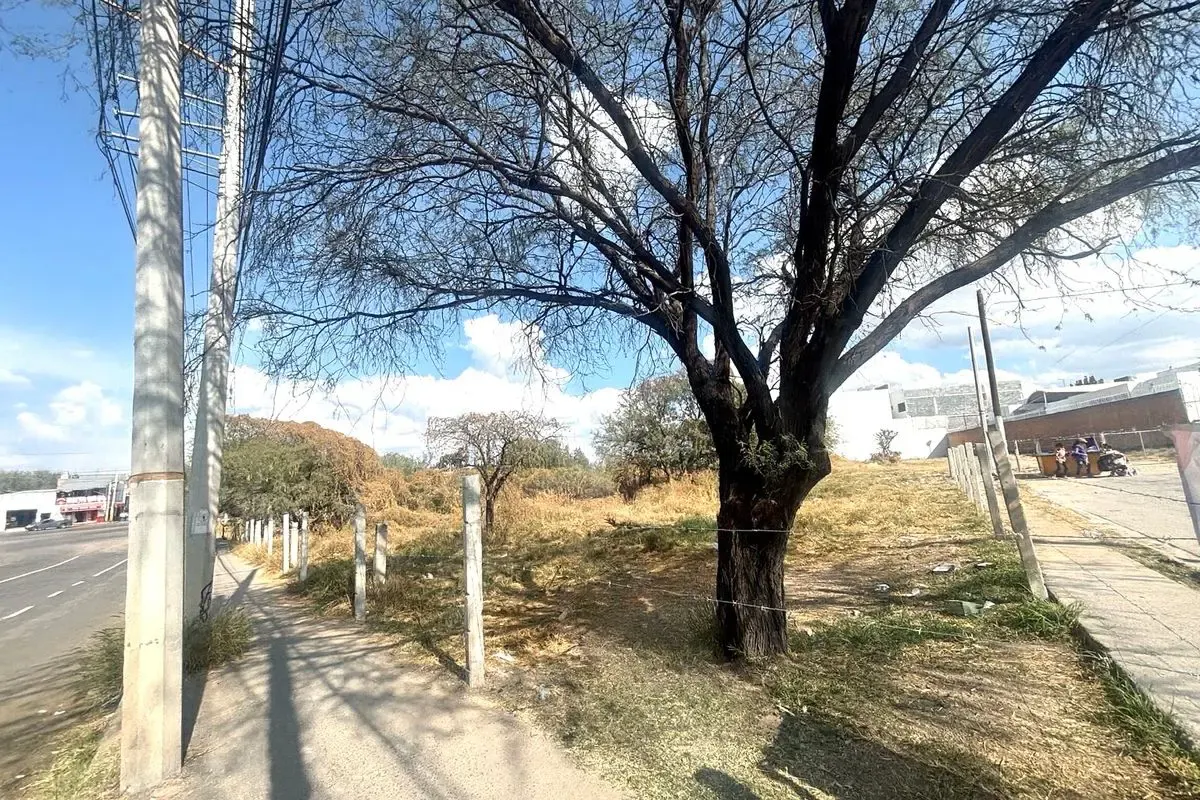 Terreno Spot2