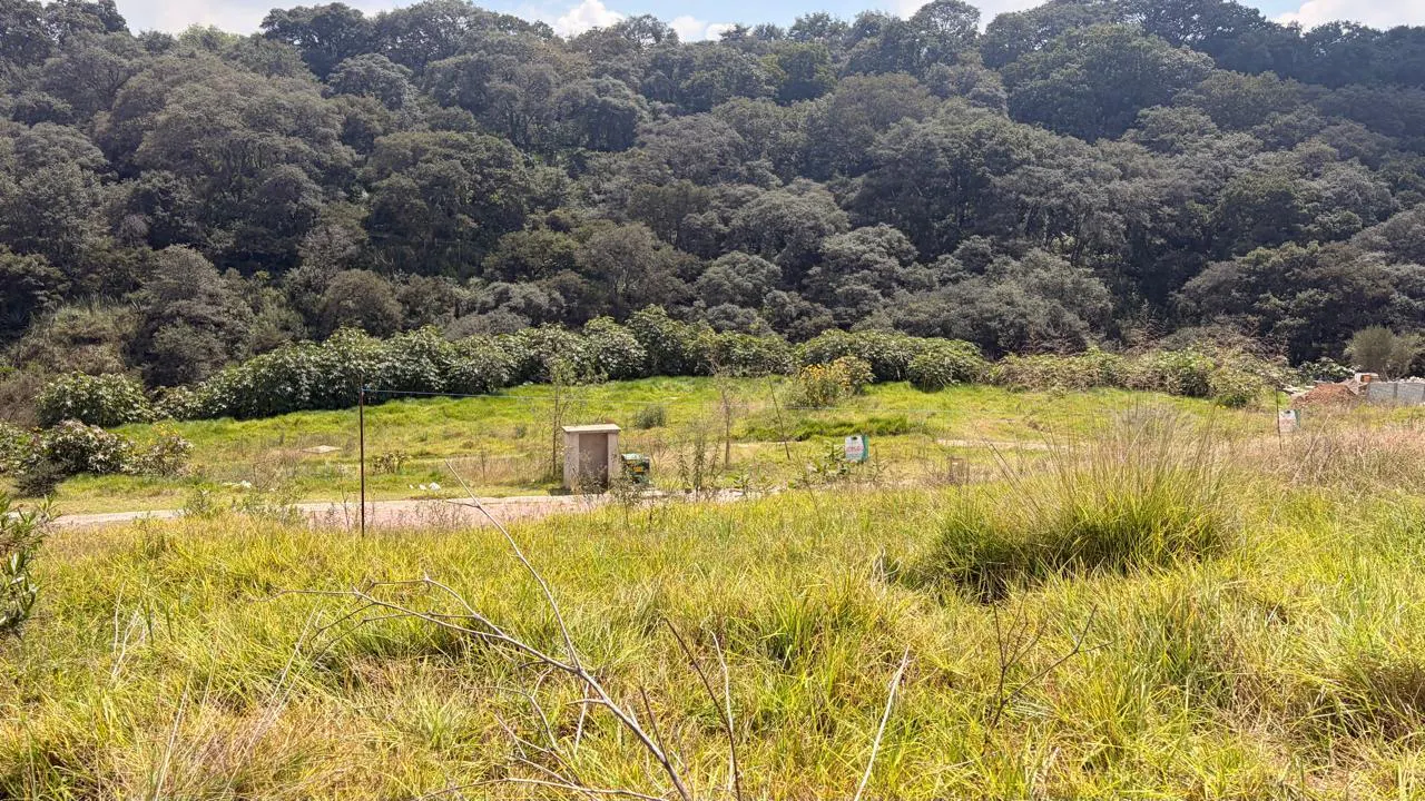 Terreno Spot2