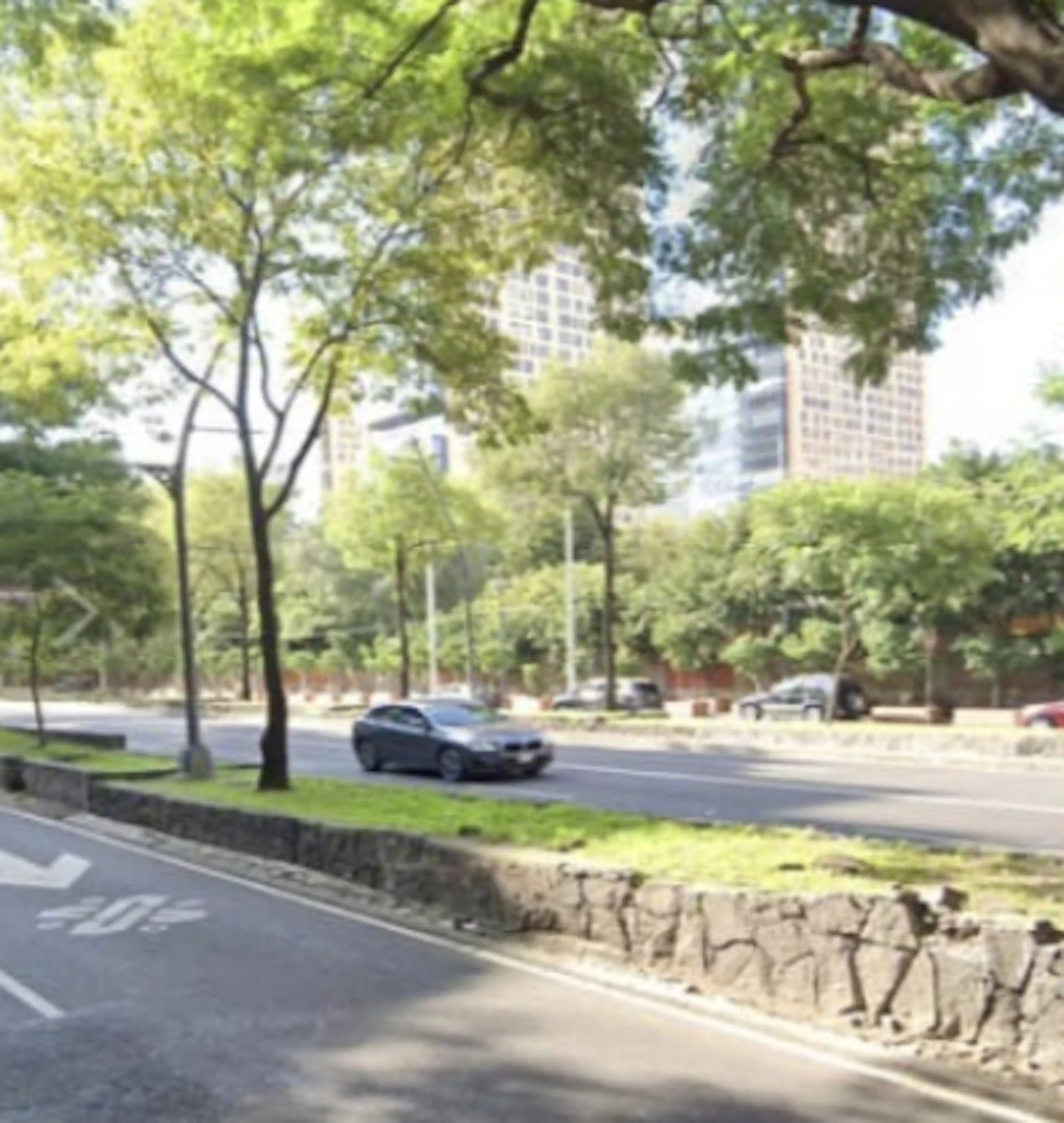 Avenida Ejército Nacional Mexicano