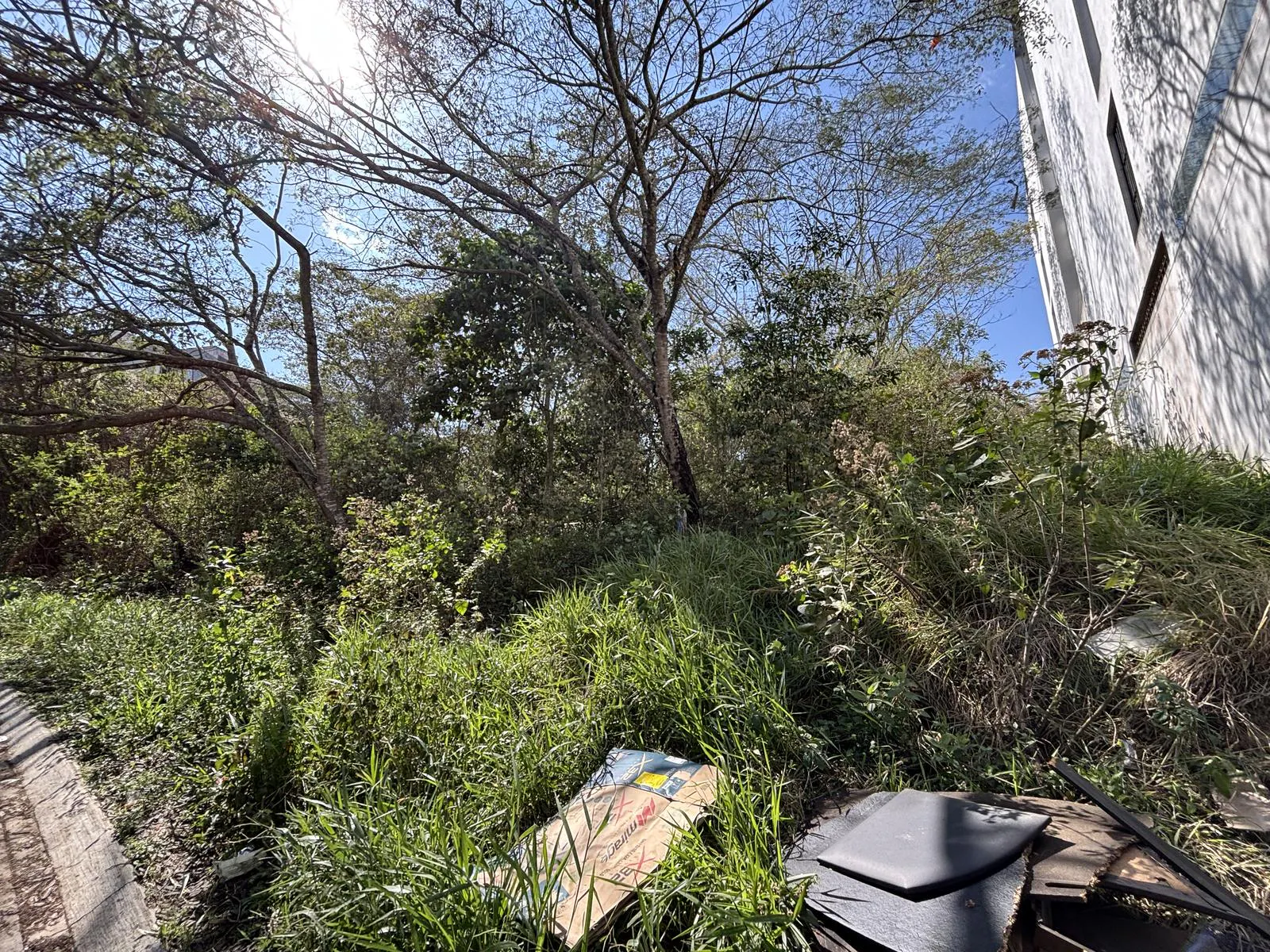 Terreno Spot2