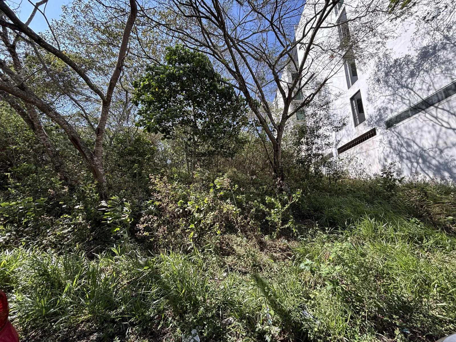 Terreno Spot2