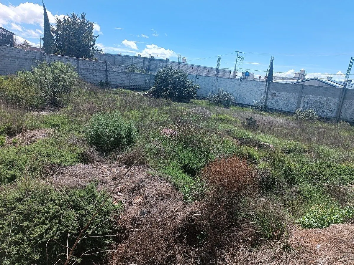 Terreno Spot2