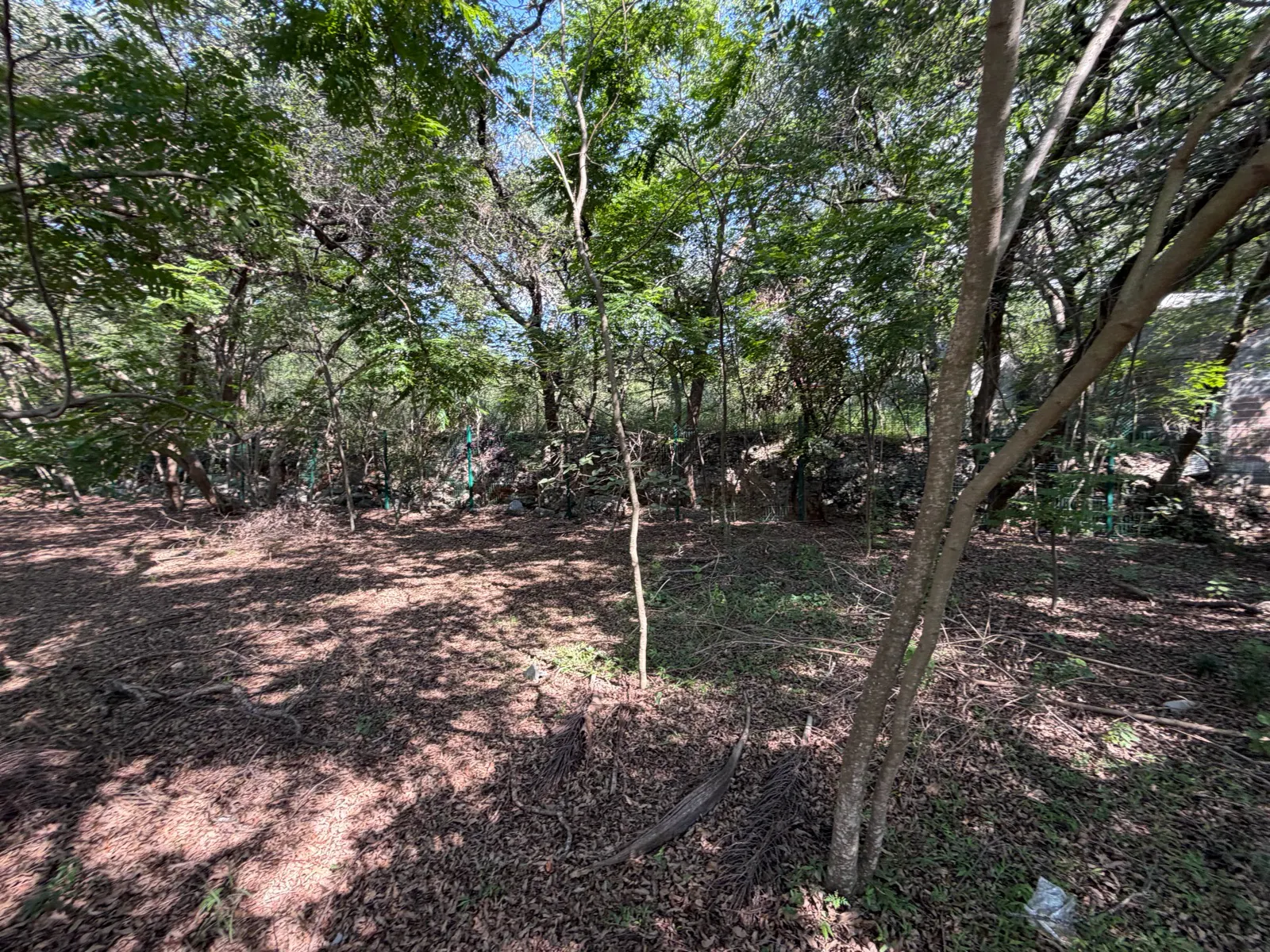 Terreno Spot2
