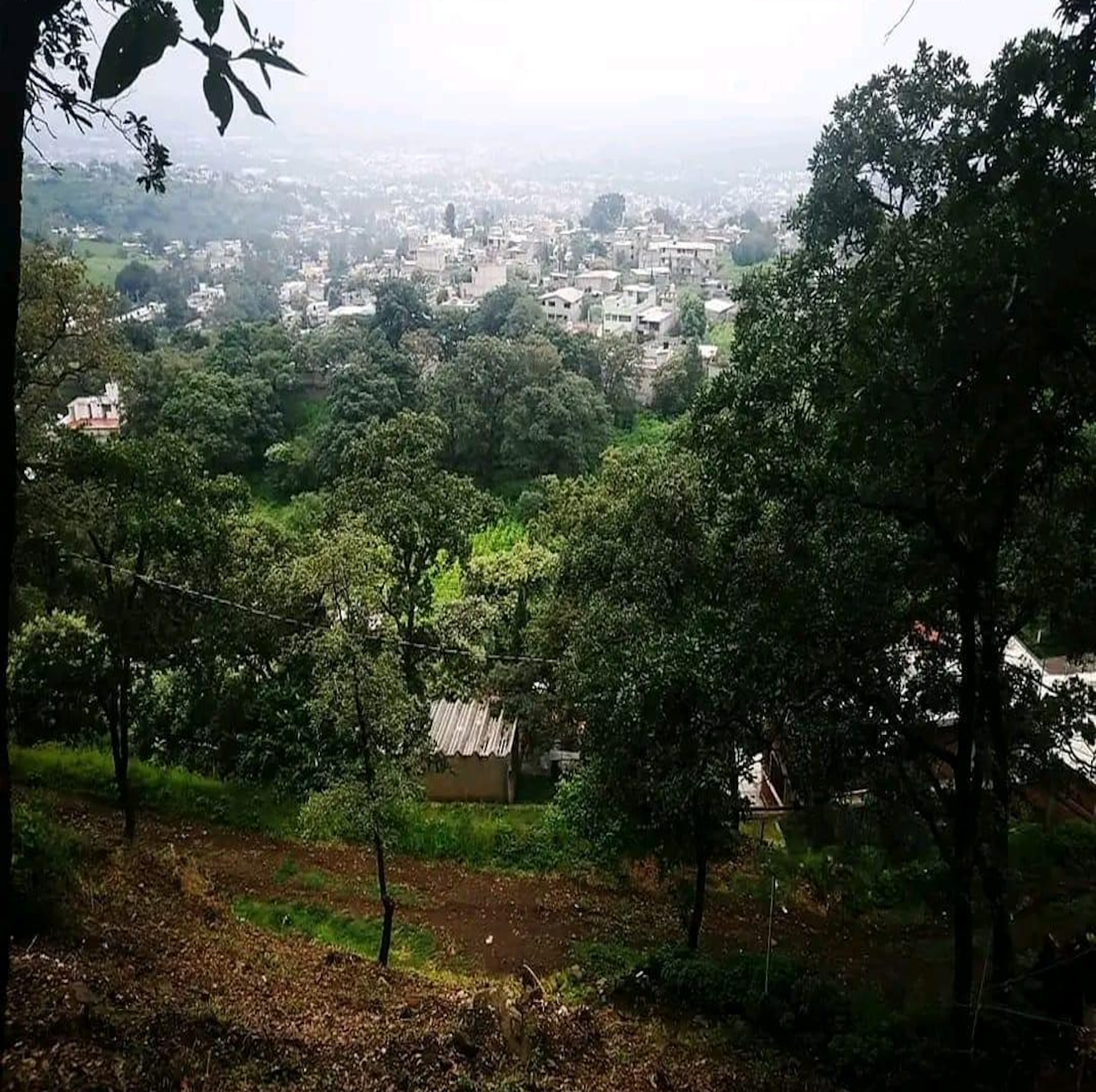 Spot image 0