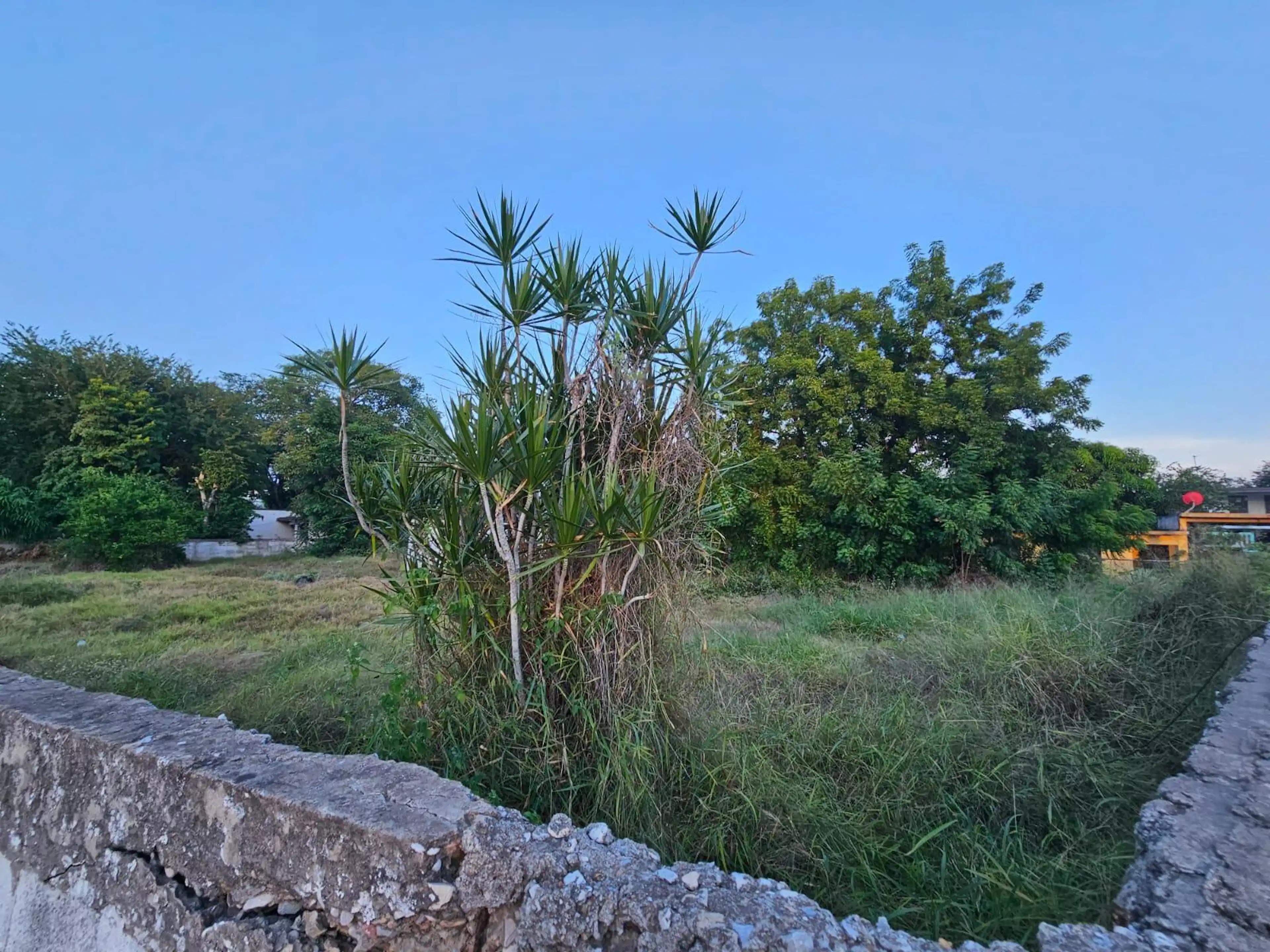 Terreno En Altamira
