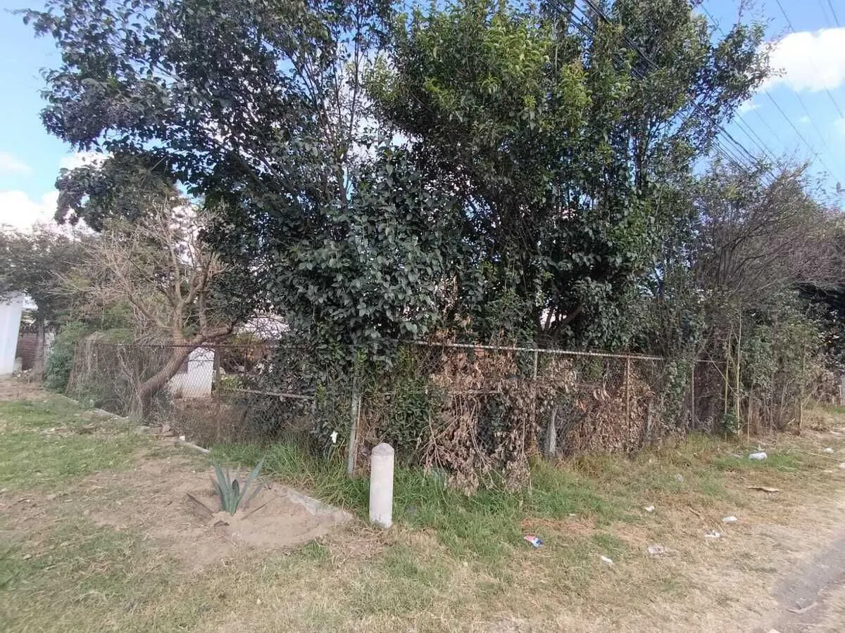 Terreno Spot2