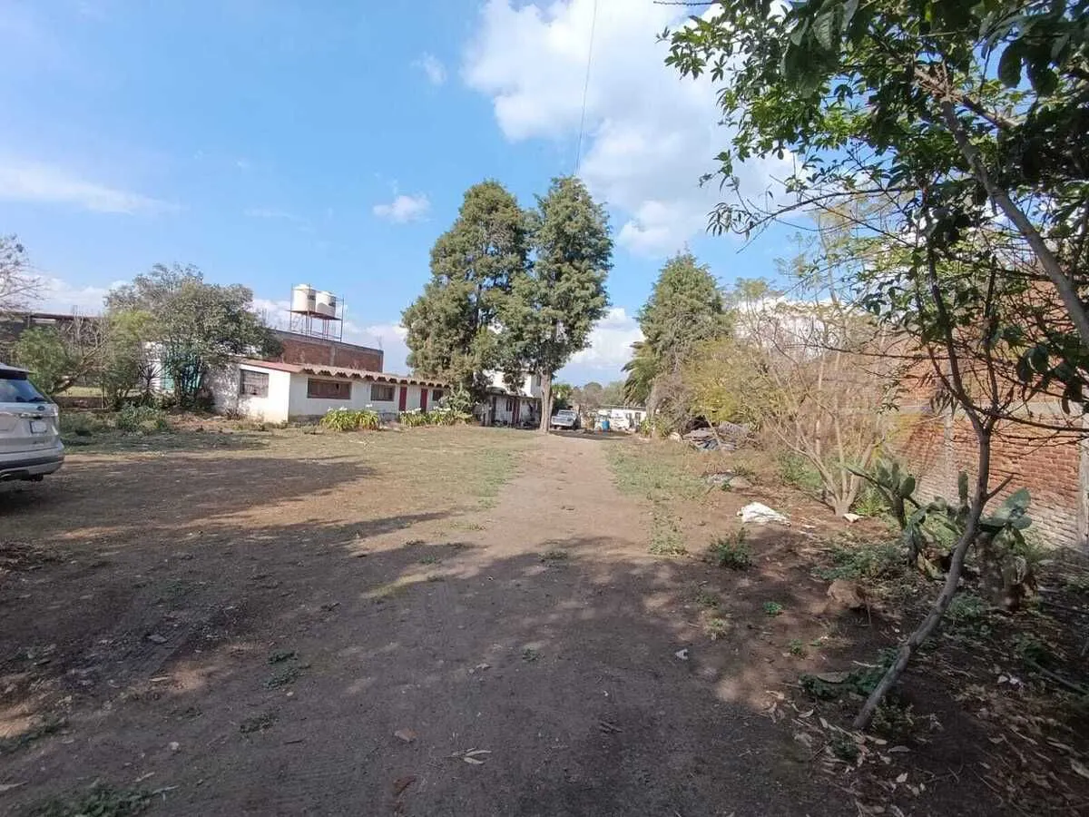 Terreno Spot2