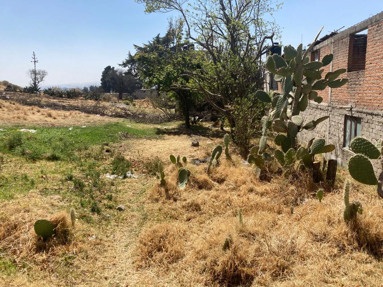 Terreno Spot2