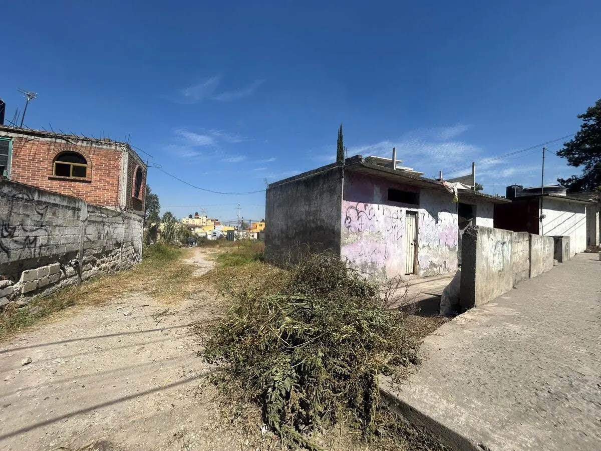 Terreno Spot2