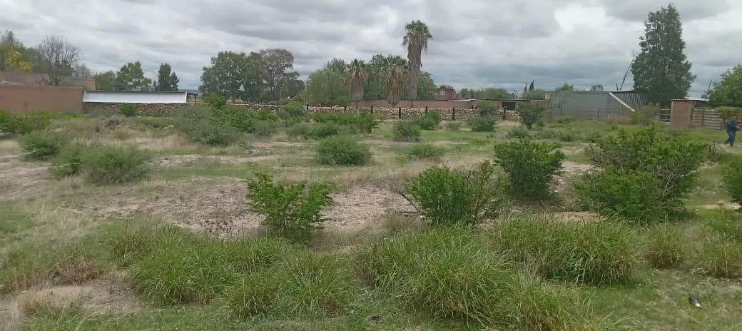 Terreno Spot2