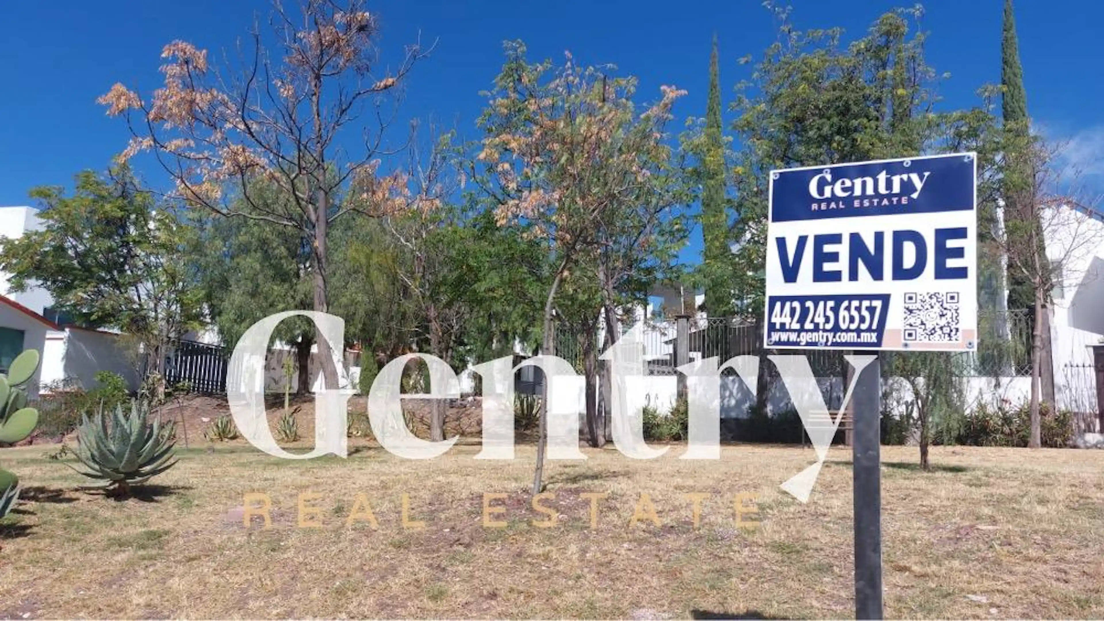 Terreno Venta