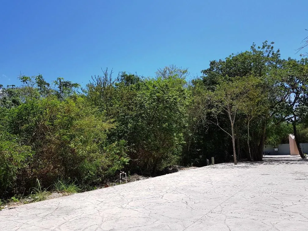 Terreno Spot2