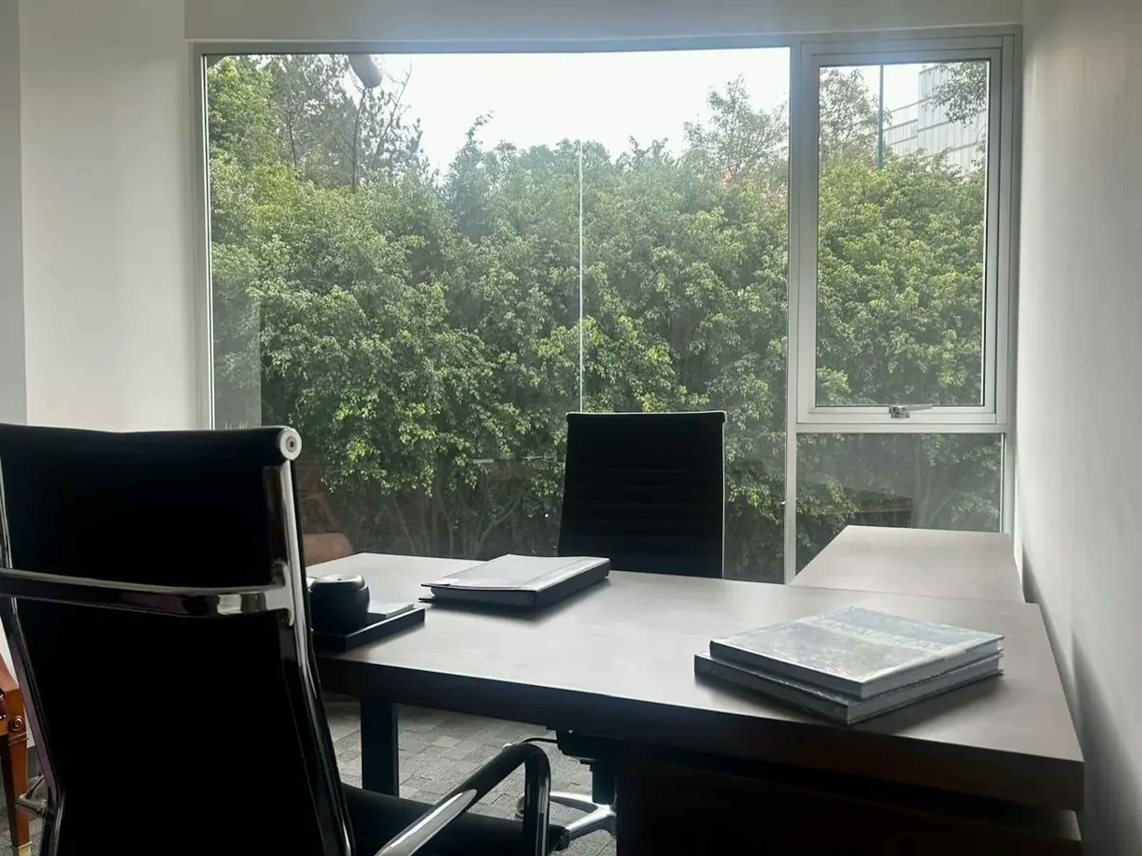 Guillermo Gonzalez Camarena