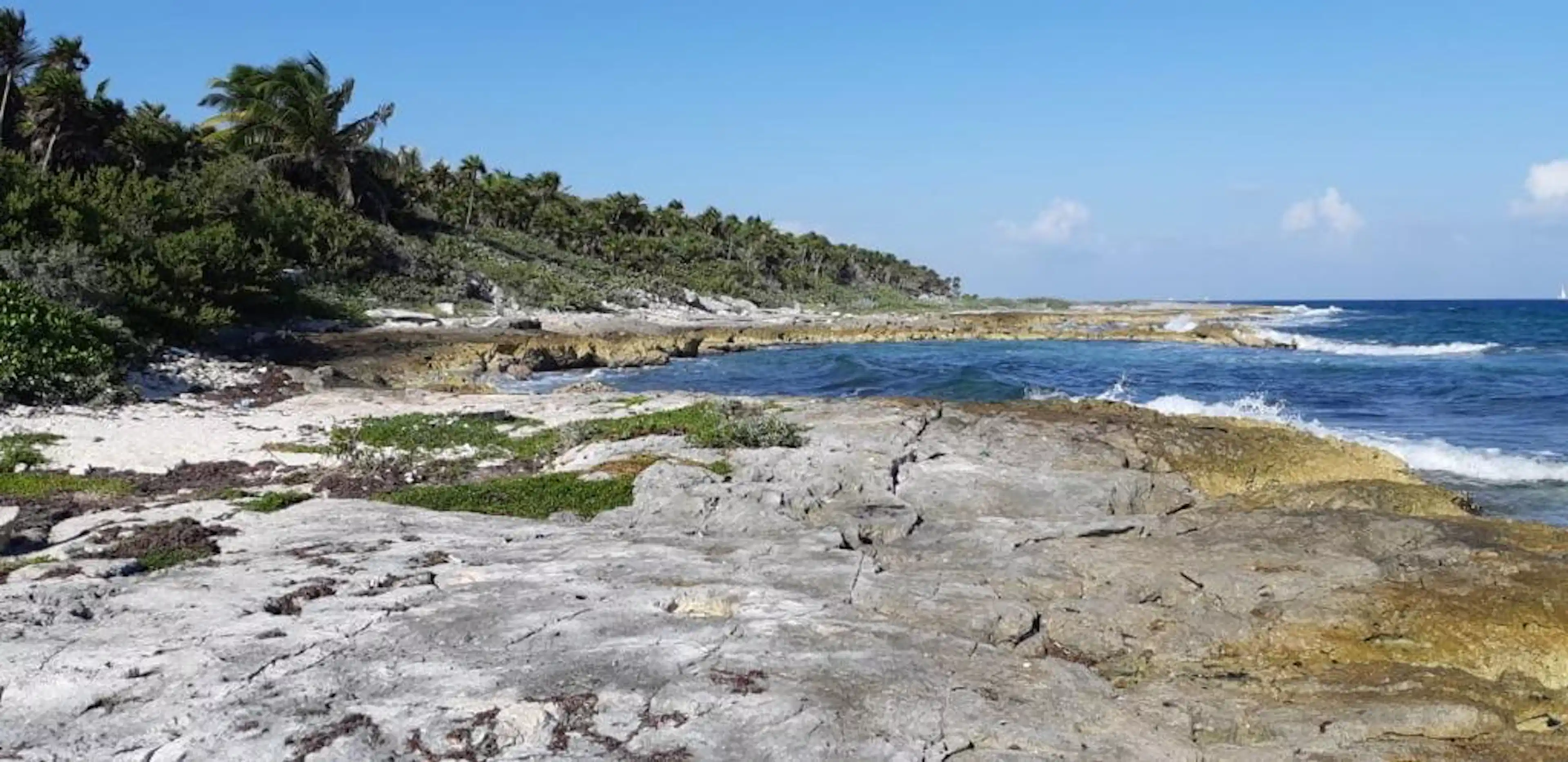 Lote En Venta Frente Al Mar En Playa Del Carmen Con 20 Hectáreas | P3754