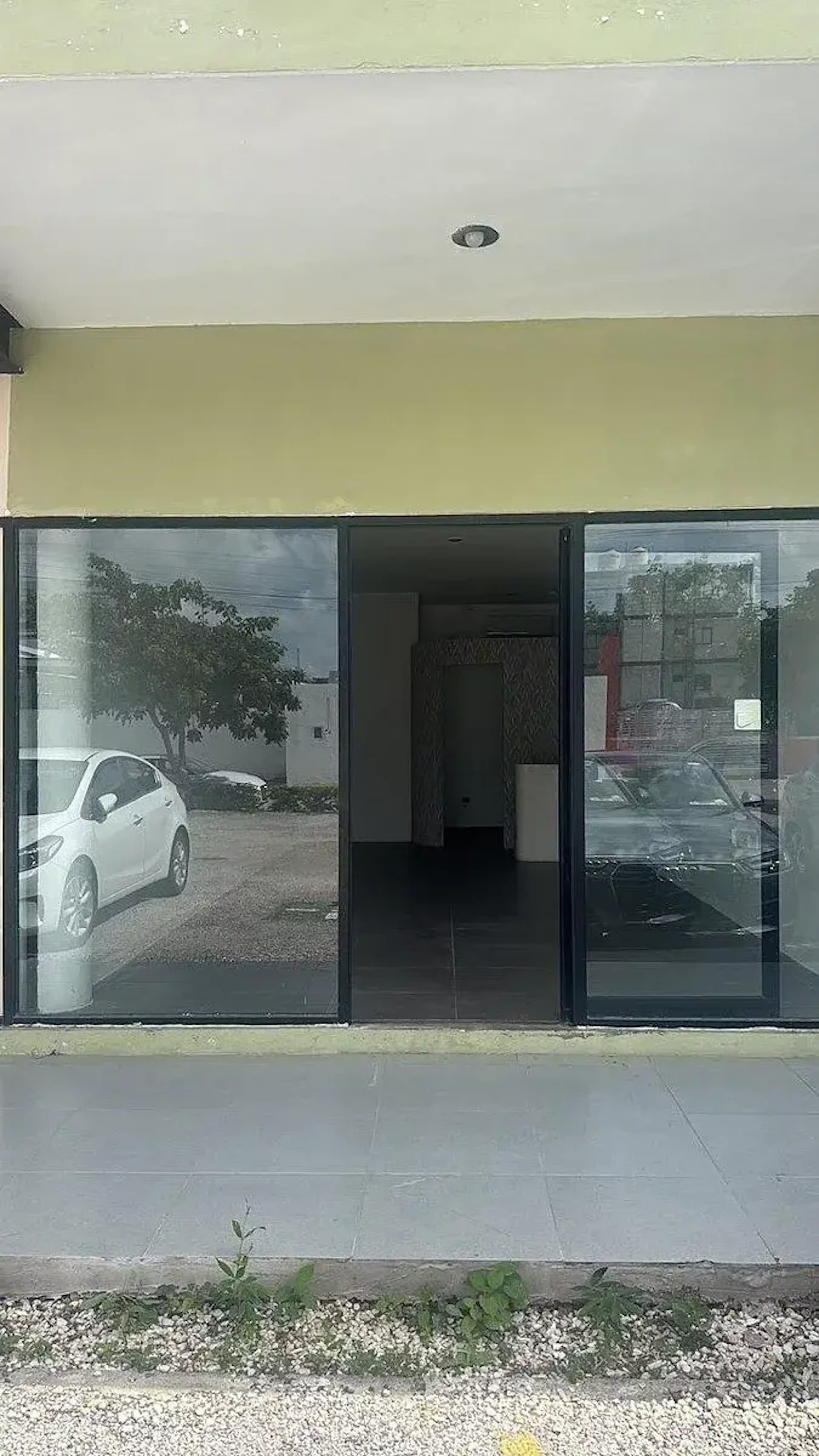 25