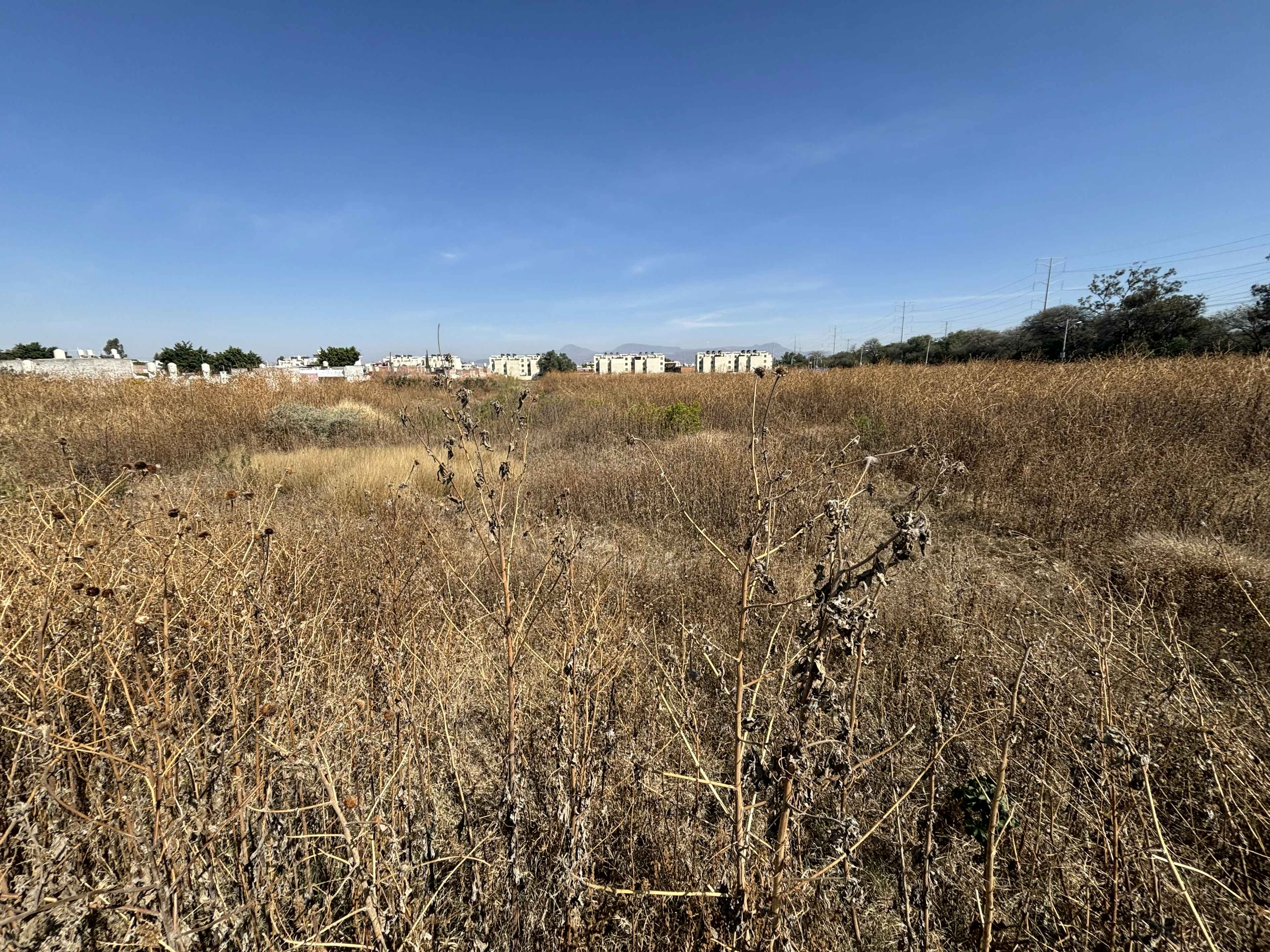 Boulevard Timoteo Lozano Oriente 5729