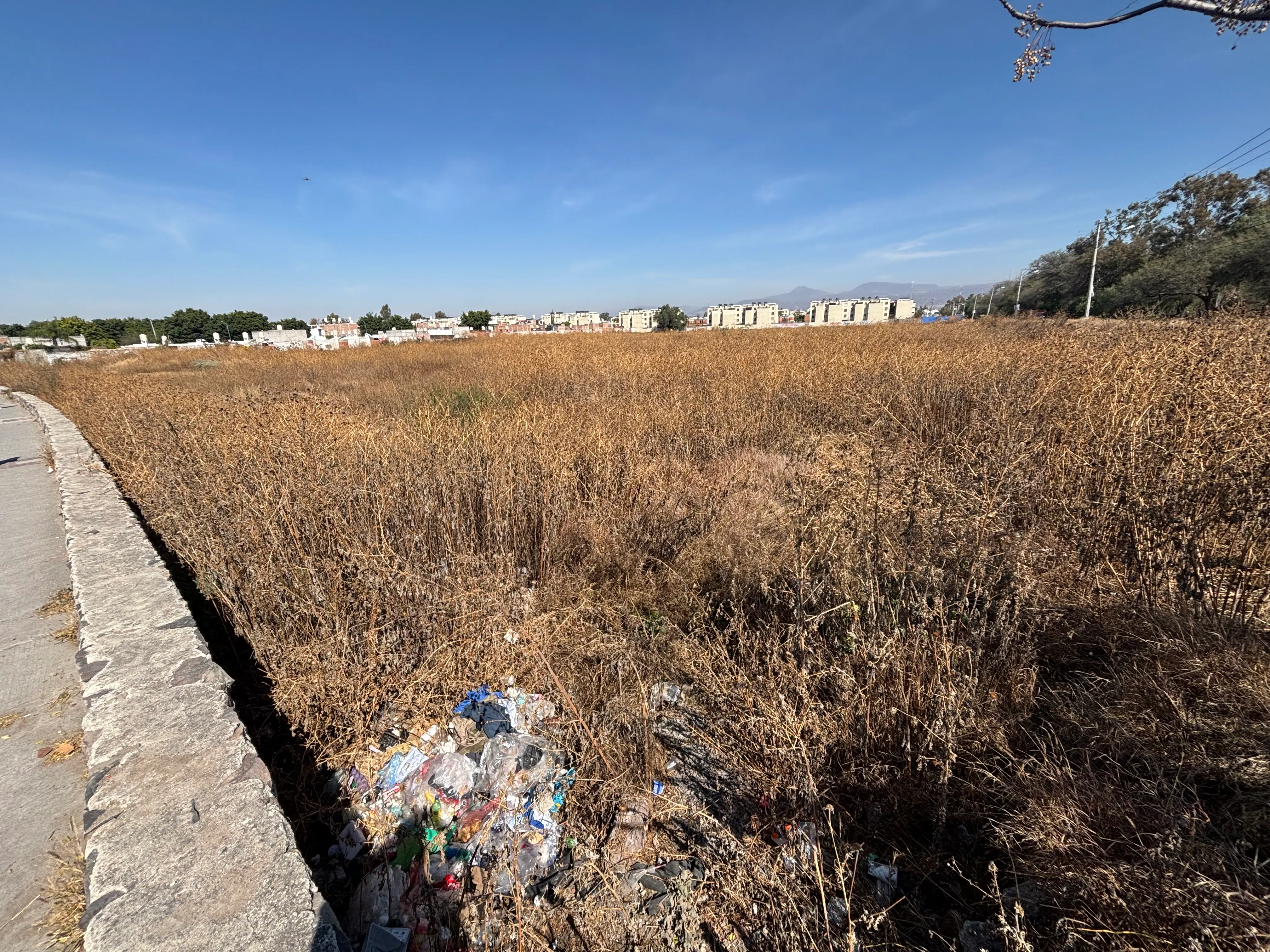 Terreno Spot2