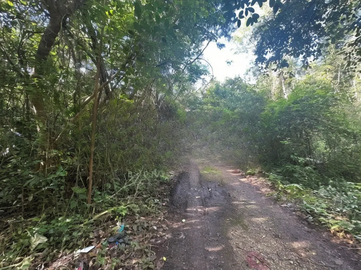 Terreno Spot2