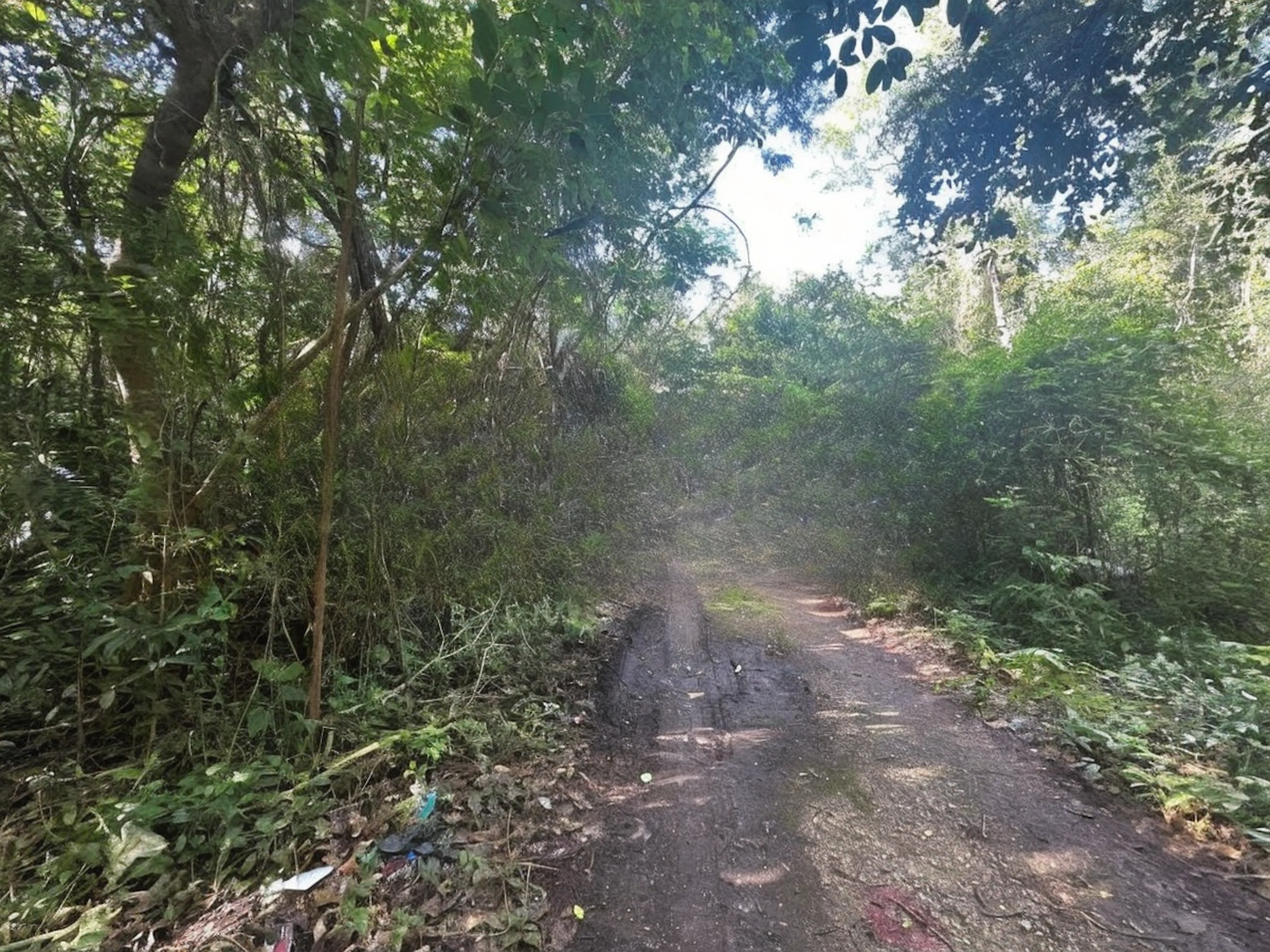 Terreno Spot2