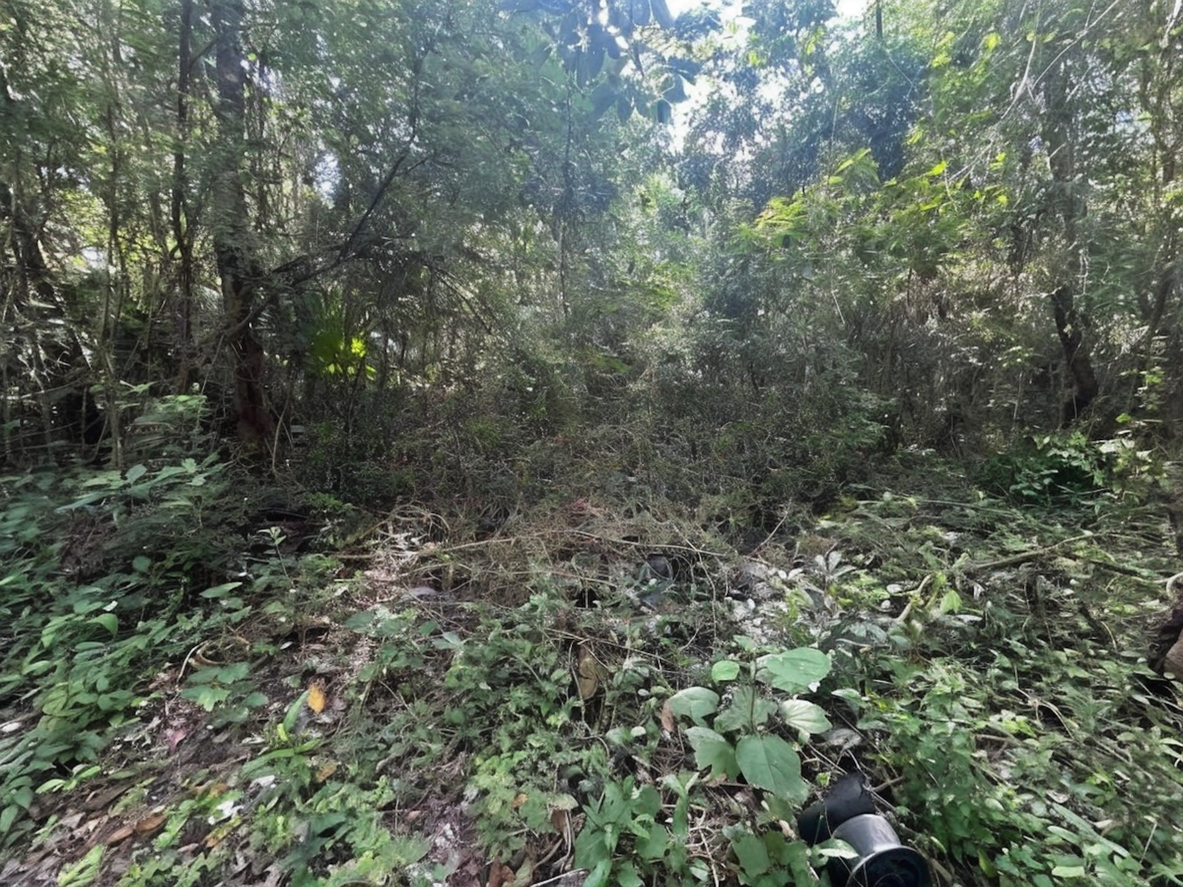 Terreno Spot2