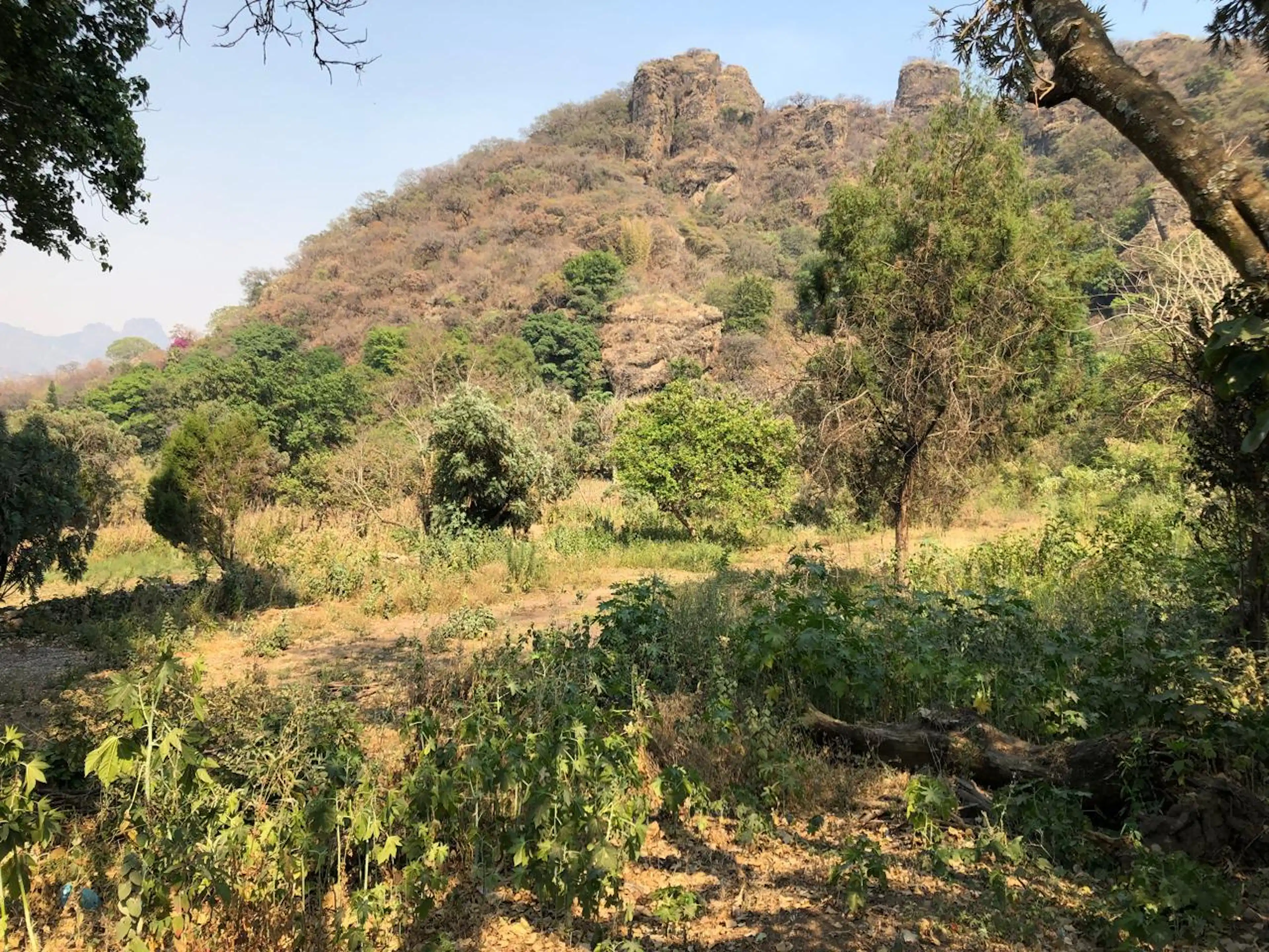 Terreno En Tepoztlan Morelos