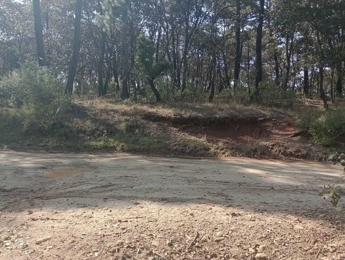 Terreno Spot2