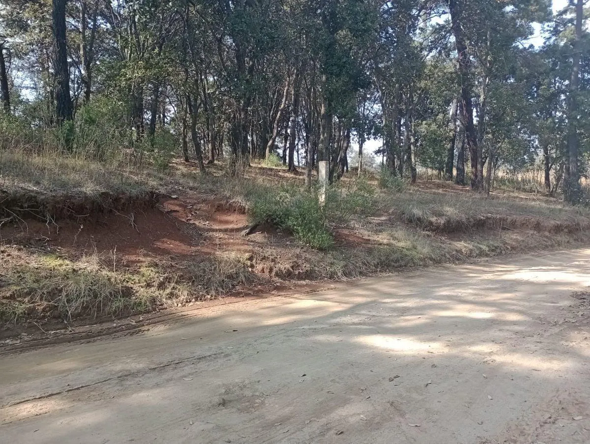Terreno Spot2