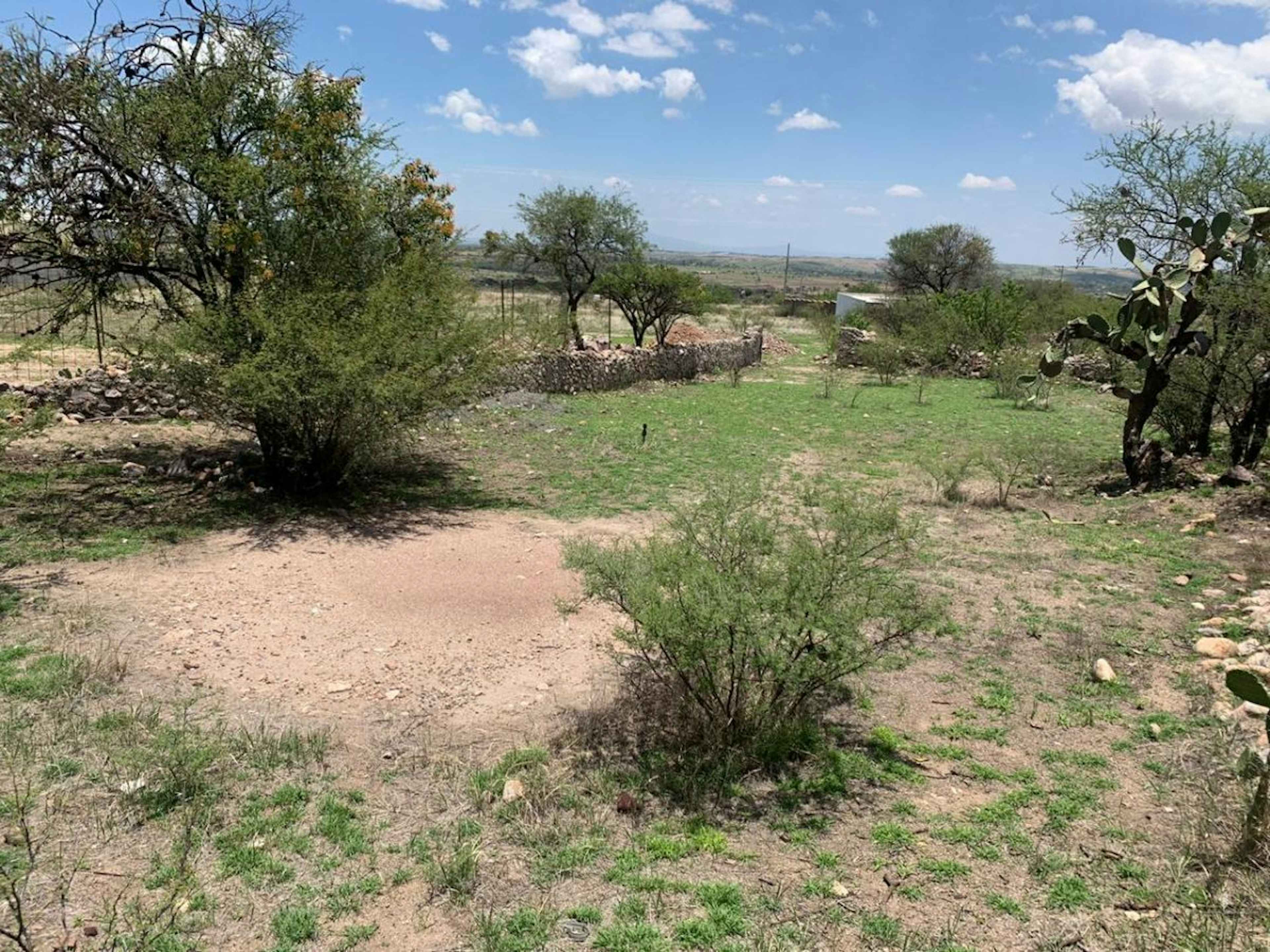 Carretera Guanajuato - Juventino Rosas S/n