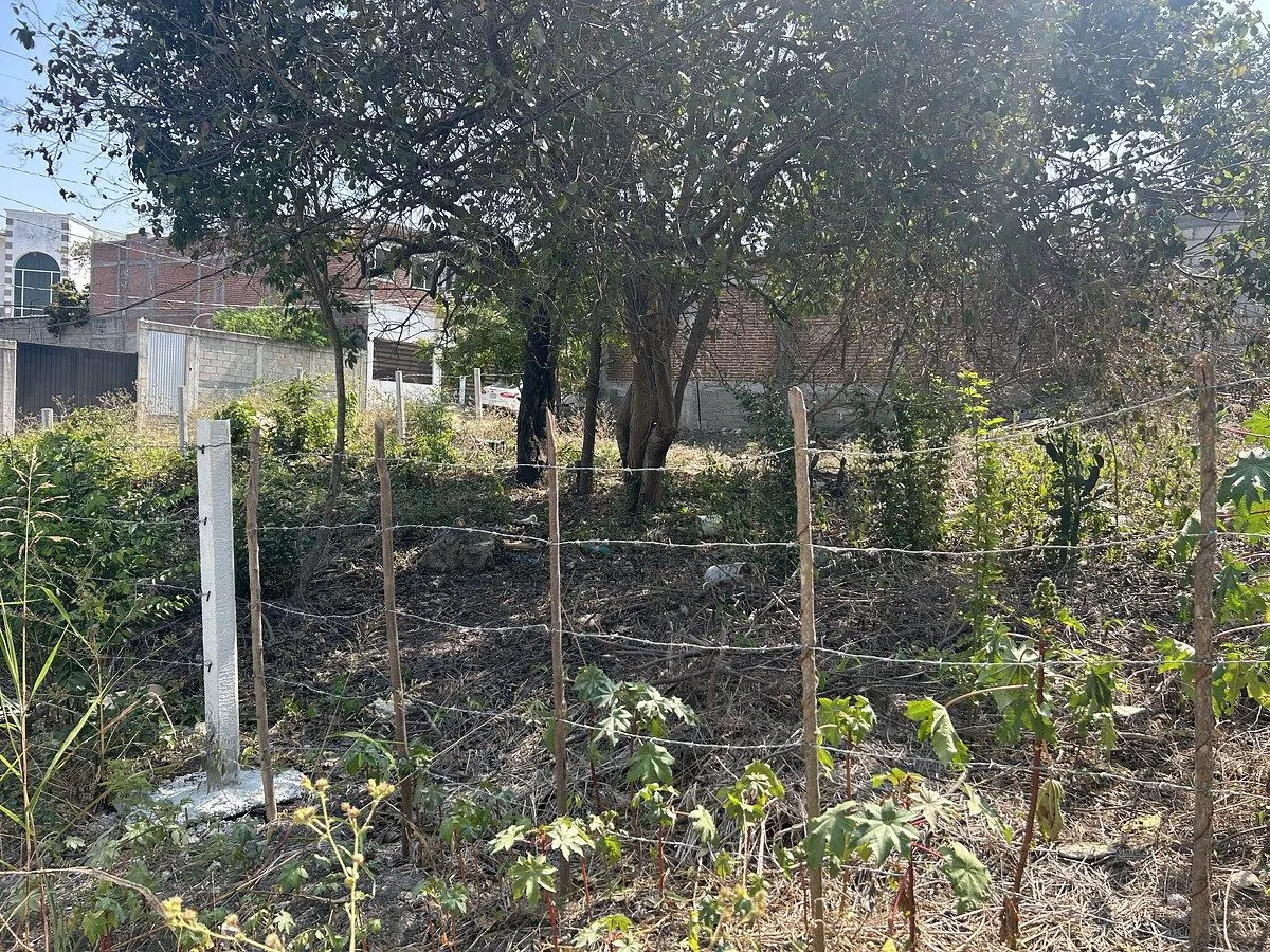 Terreno Spot2