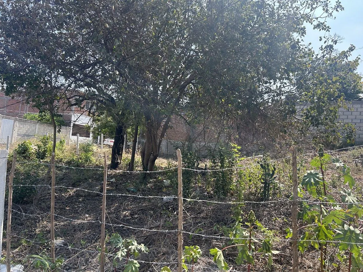 Terreno Spot2