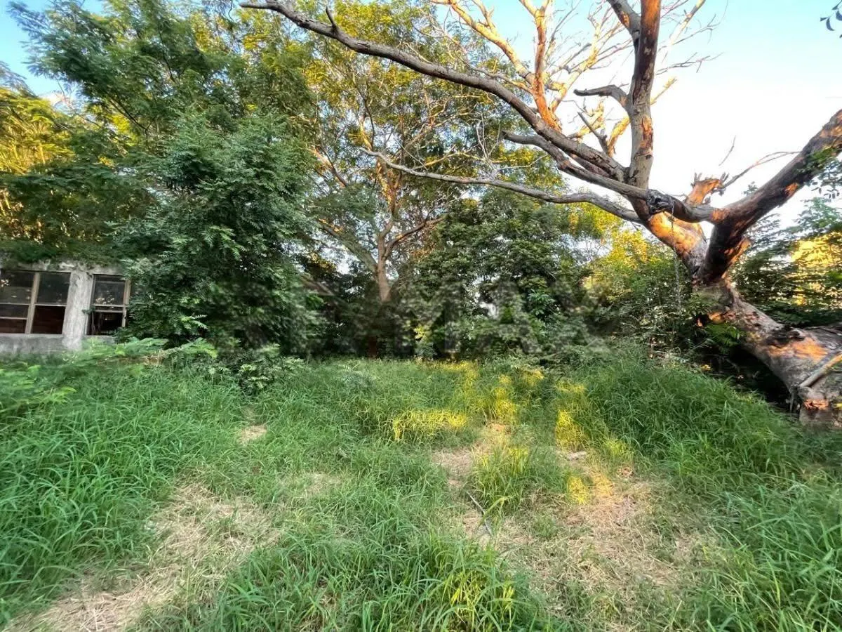 Terreno Spot2